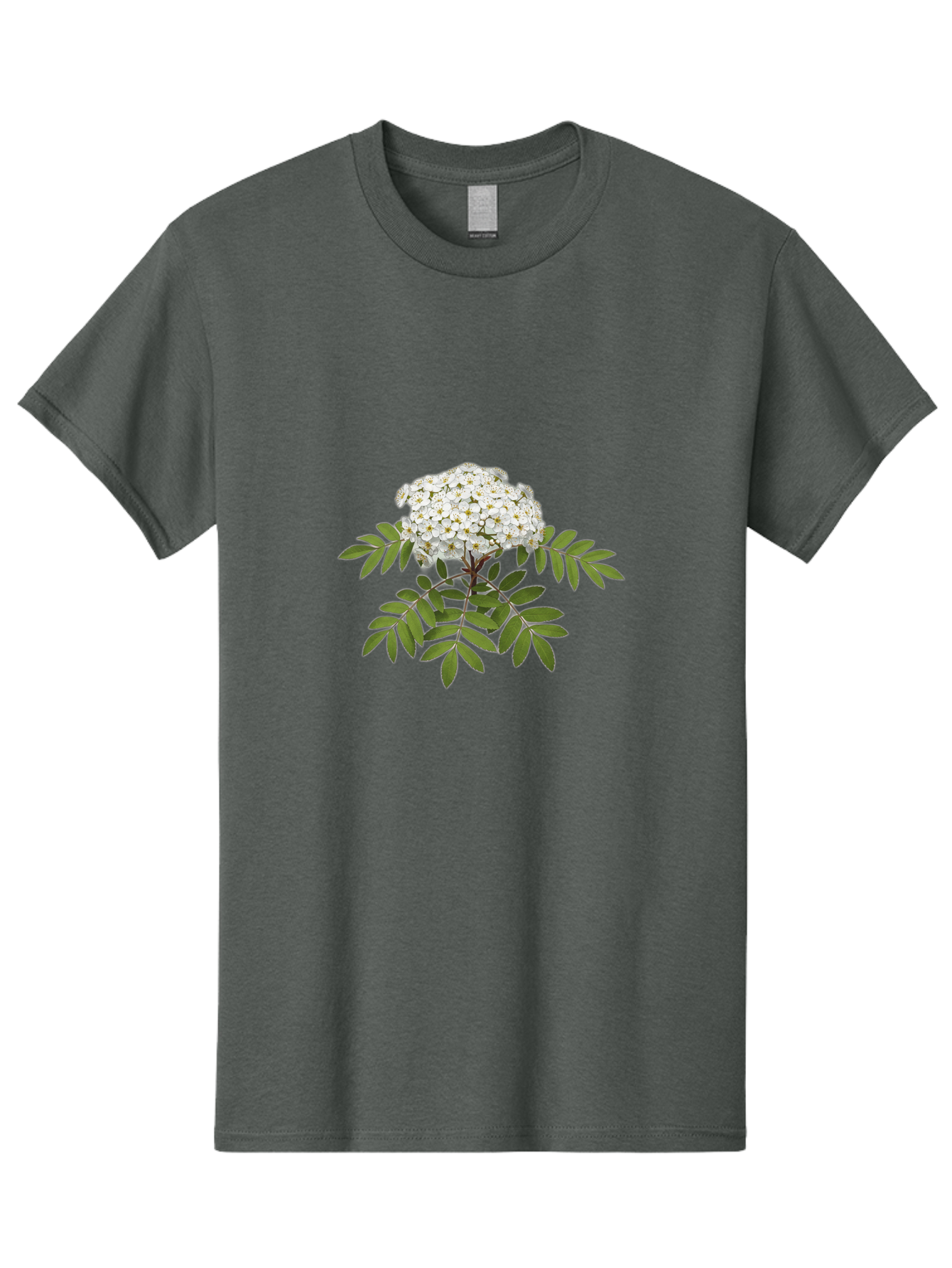 Rowan-Tree-Flowers Men'S Graphic Tee, 100% Cotton, Comfortable Casual Summer Wear, Machine Washable, Vintage Camera, Old Camera, Antique Camera, Black Camera, Classic Photography, Photography Equipment, Nostalgic Device, Film Camera, Baj244 10