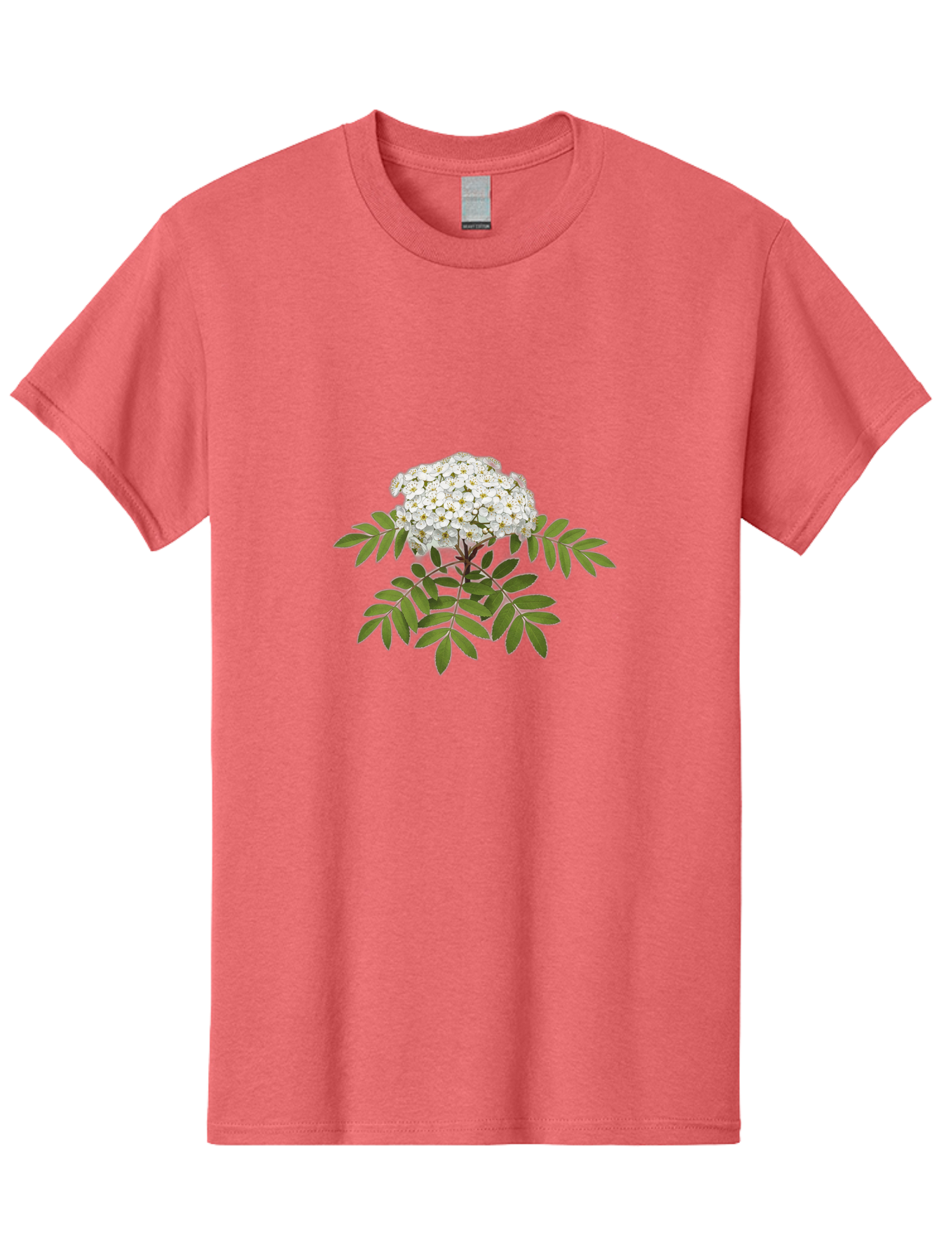 Rowan-Tree-Flowers Men'S Graphic Tee, 100% Cotton, Comfortable Casual Summer Wear, Machine Washable, Vintage Camera, Old Camera, Antique Camera, Black Camera, Classic Photography, Photography Equipment, Nostalgic Device, Film Camera, Baj244 11