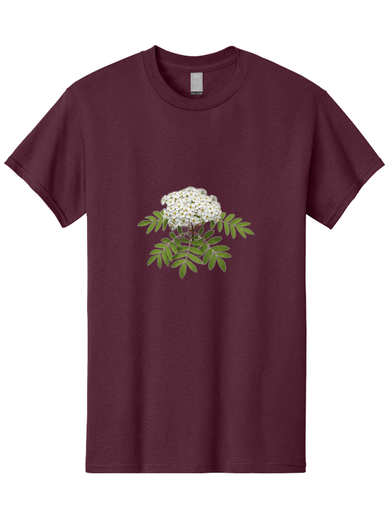 Rowan-Tree-Flowers Men'S Graphic Tee, 100% Cotton, Comfortable Casual Summer Wear, Machine Washable, Vintage Camera, Old Camera, Antique Camera, Black Camera, Classic Photography, Photography Equipment, Nostalgic Device, Film Camera, Baj244 8