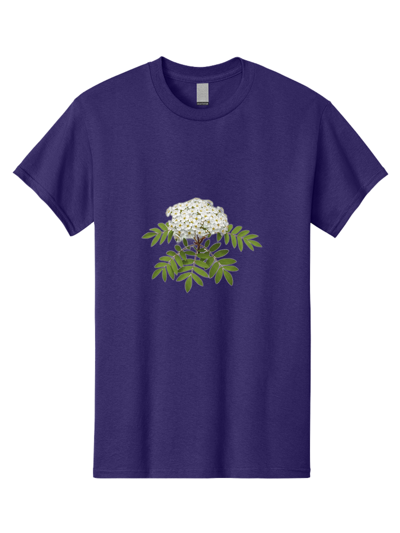 Rowan-Tree-Flowers Men'S Graphic Tee, 100% Cotton, Comfortable Casual Summer Wear, Machine Washable, Vintage Camera, Old Camera, Antique Camera, Black Camera, Classic Photography, Photography Equipment, Nostalgic Device, Film Camera, Baj244 15