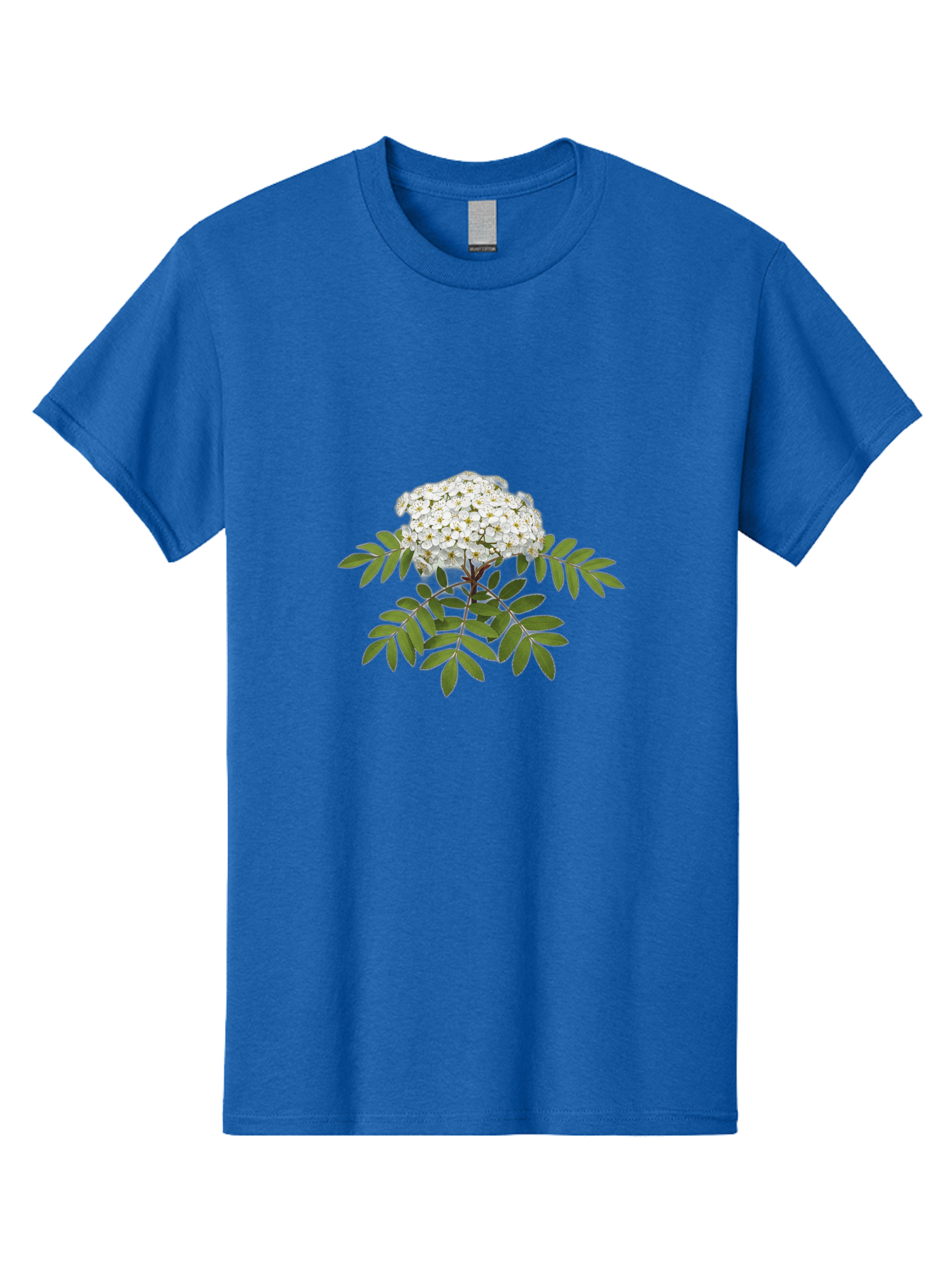 Rowan-Tree-Flowers Men'S Graphic Tee, 100% Cotton, Comfortable Casual Summer Wear, Machine Washable, Vintage Camera, Old Camera, Antique Camera, Black Camera, Classic Photography, Photography Equipment, Nostalgic Device, Film Camera, Baj244 12