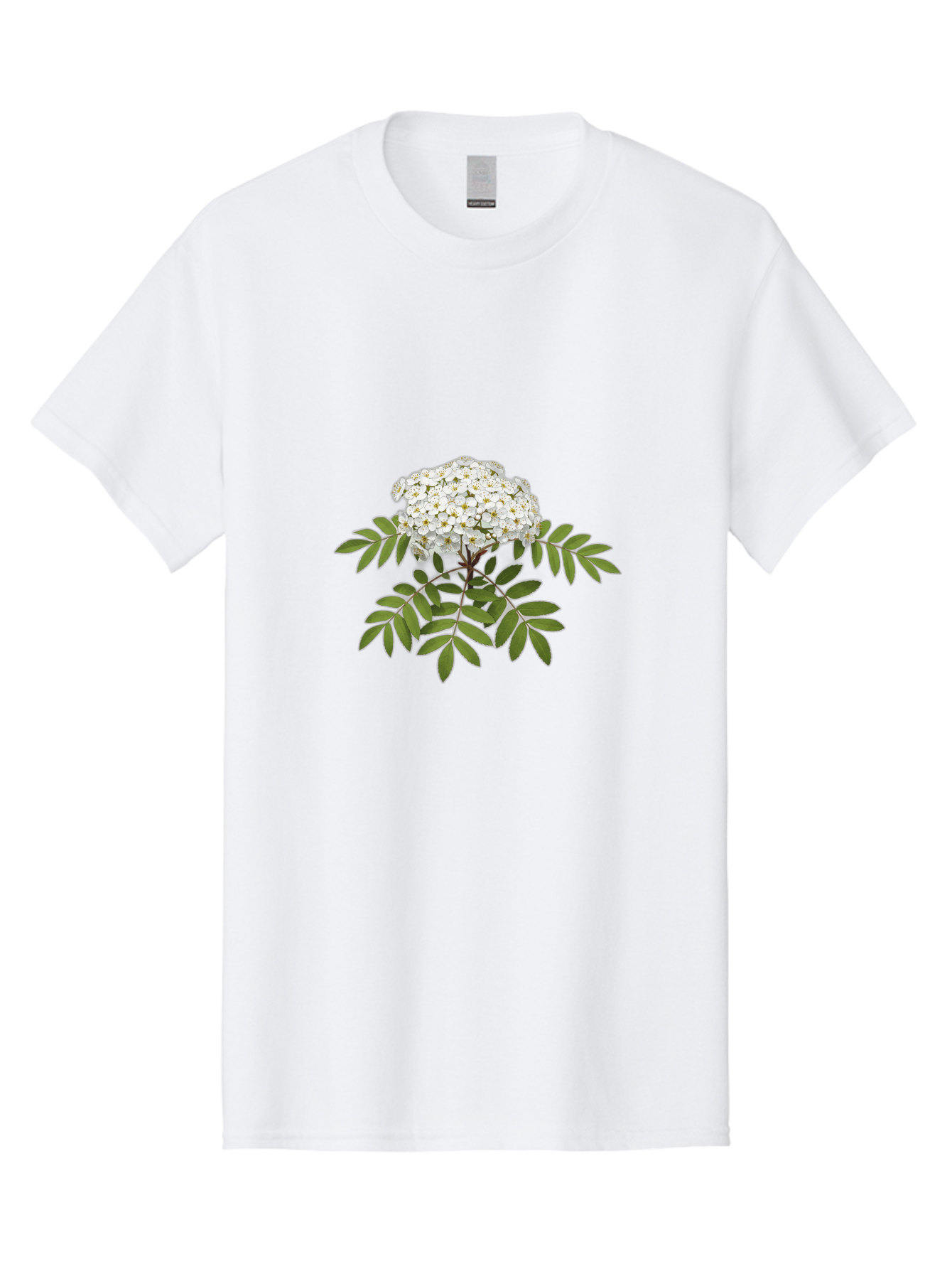 Rowan-Tree-Flowers Men'S Graphic Tee, 100% Cotton, Comfortable Casual Summer Wear, Machine Washable, Vintage Camera, Old Camera, Antique Camera, Black Camera, Classic Photography, Photography Equipment, Nostalgic Device, Film Camera, Baj244 3