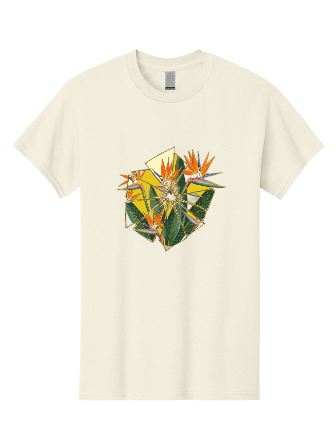 Bird-Of-Paradise Men'S Graphic Tee, 100% Cotton, Comfortable Casual Summer Wear, Machine Washable, Vintage Camera, Old Camera, Antique Camera, Black Camera, Classic Photography, Photography Equipment, Nostalgic Device, Film Camera, Camera Art Bak052 1
