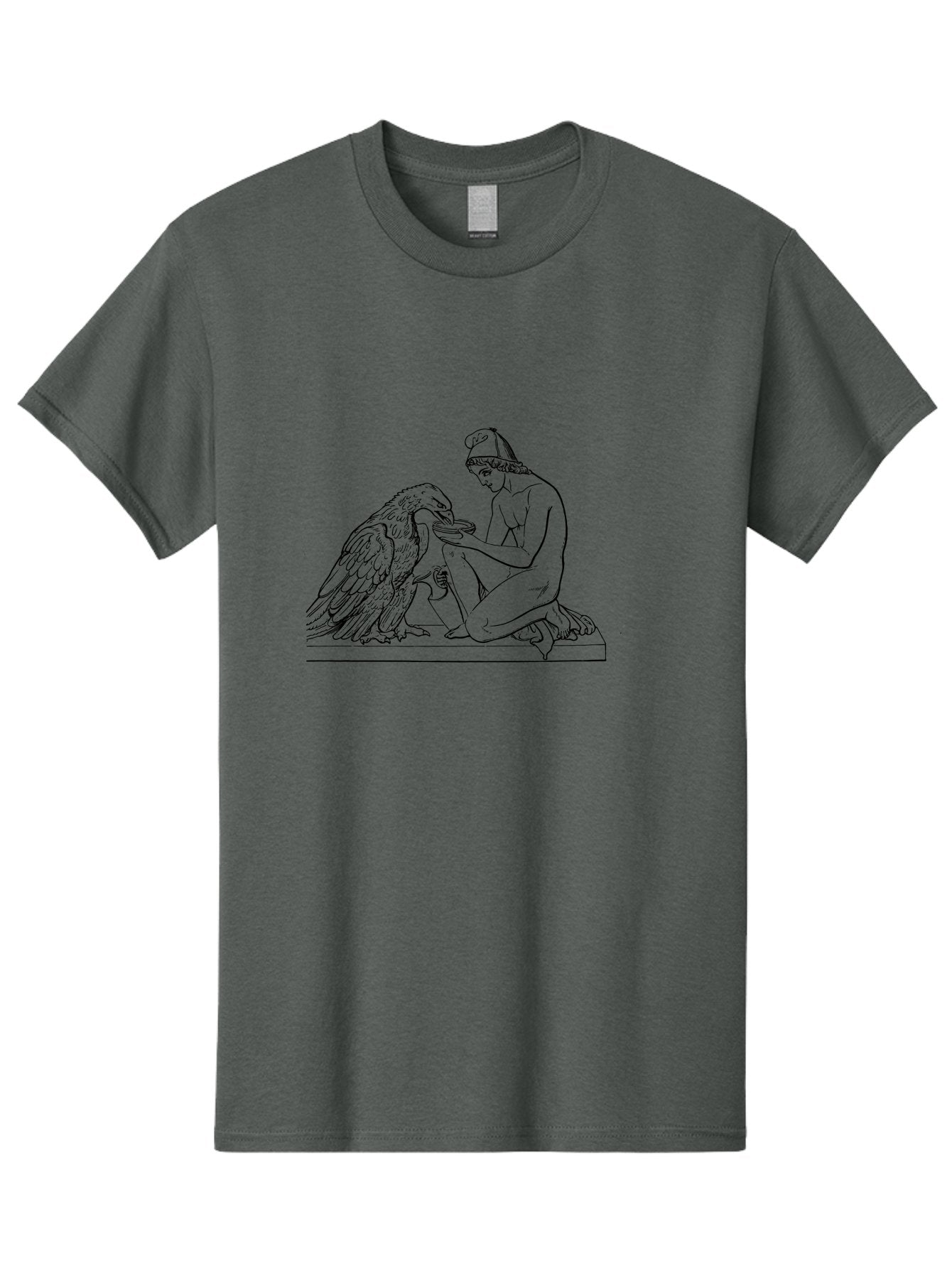 Ganymede-And-Eagle Men'S Graphic Tee, 100% Cotton, Comfortable Casual Summer Wear, Machine Washable, Kneeling Woman, Feeding Eagle, Bond Between Human And Animal, Nurturing Moment, Tender Interaction, Simple Line Art, Minimalist Design, -  Aaa534 11