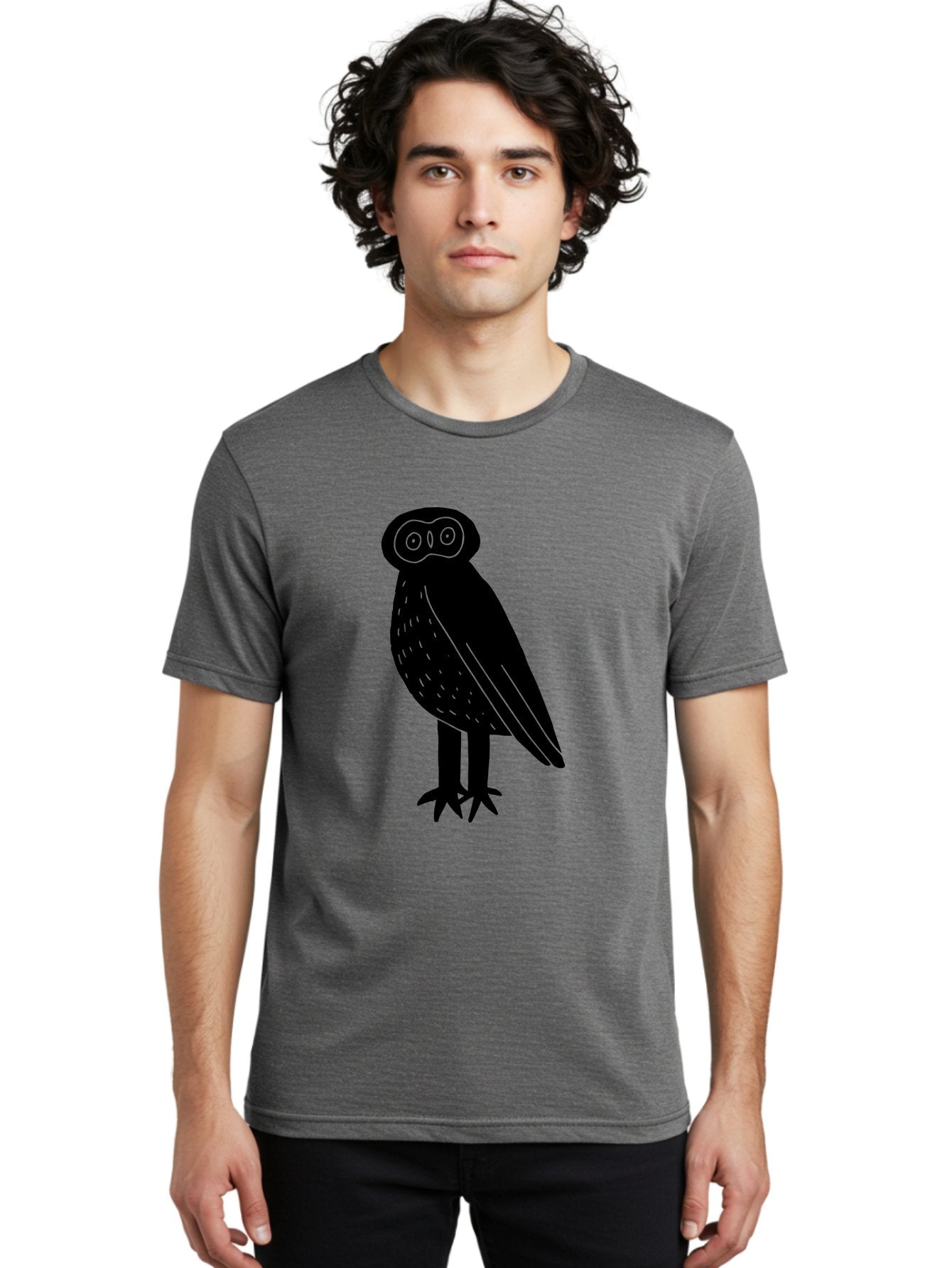 Owl Men'S Graphic Tee, 100% Cotton, Comfortable Casual Summer Wear, Machine Washable, Owl Silhouette, Minimalist Design, Simple Art, Black And Green, Wildlife Illustration, Nocturnal Bird, Abstract Owl -  Aaa609 28