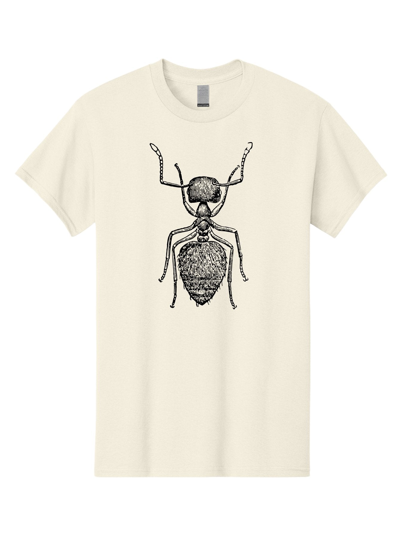 Ant-Illustration Men'S Graphic Tee, 100% Cotton, Comfortable Casual Summer Wear, Machine Washable, Black Ant, Insect Art, Detailed Drawing, Entomology, Bug Illustration, Insect Anatomy, Natural History Aab495 13
