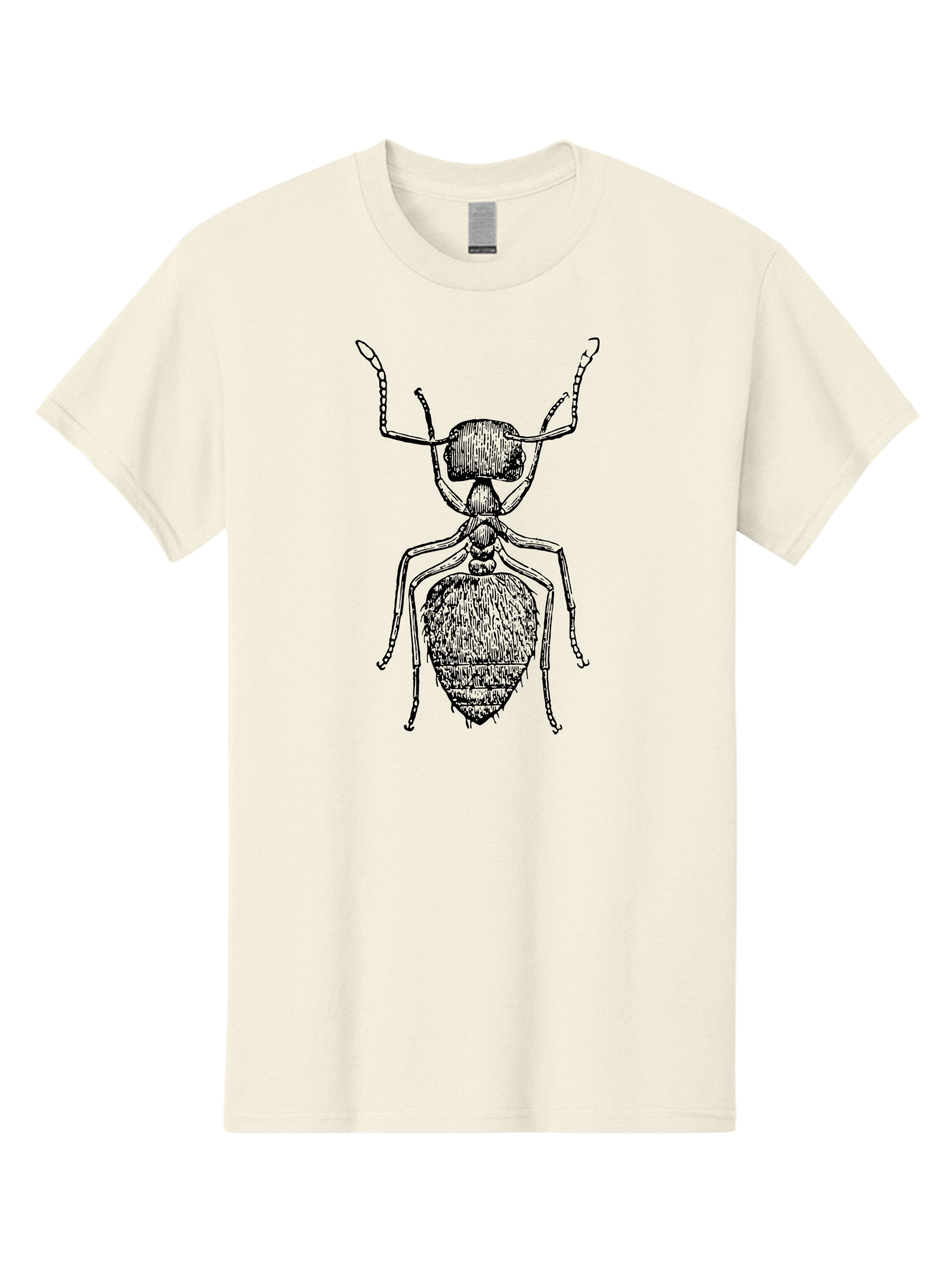Ant-Illustration Men'S Graphic Tee, 100% Cotton, Comfortable Casual Summer Wear, Machine Washable, Black Ant, Insect Art, Detailed Drawing, Entomology, Bug Illustration, Insect Anatomy, Natural History Aab495 29