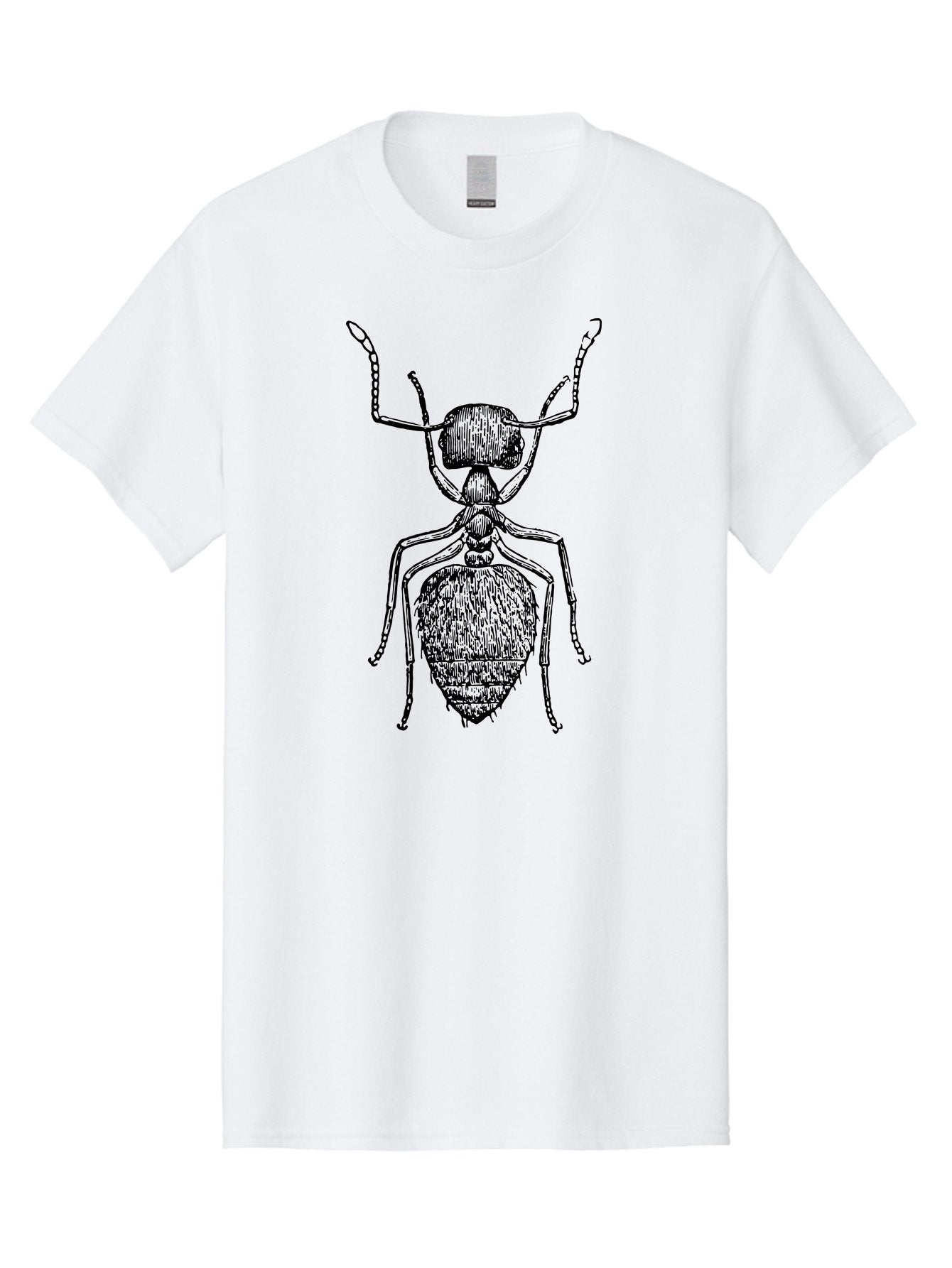 Ant-Illustration Men'S Graphic Tee, 100% Cotton, Comfortable Casual Summer Wear, Machine Washable, Black Ant, Insect Art, Detailed Drawing, Entomology, Bug Illustration, Insect Anatomy, Natural History Aab495 8