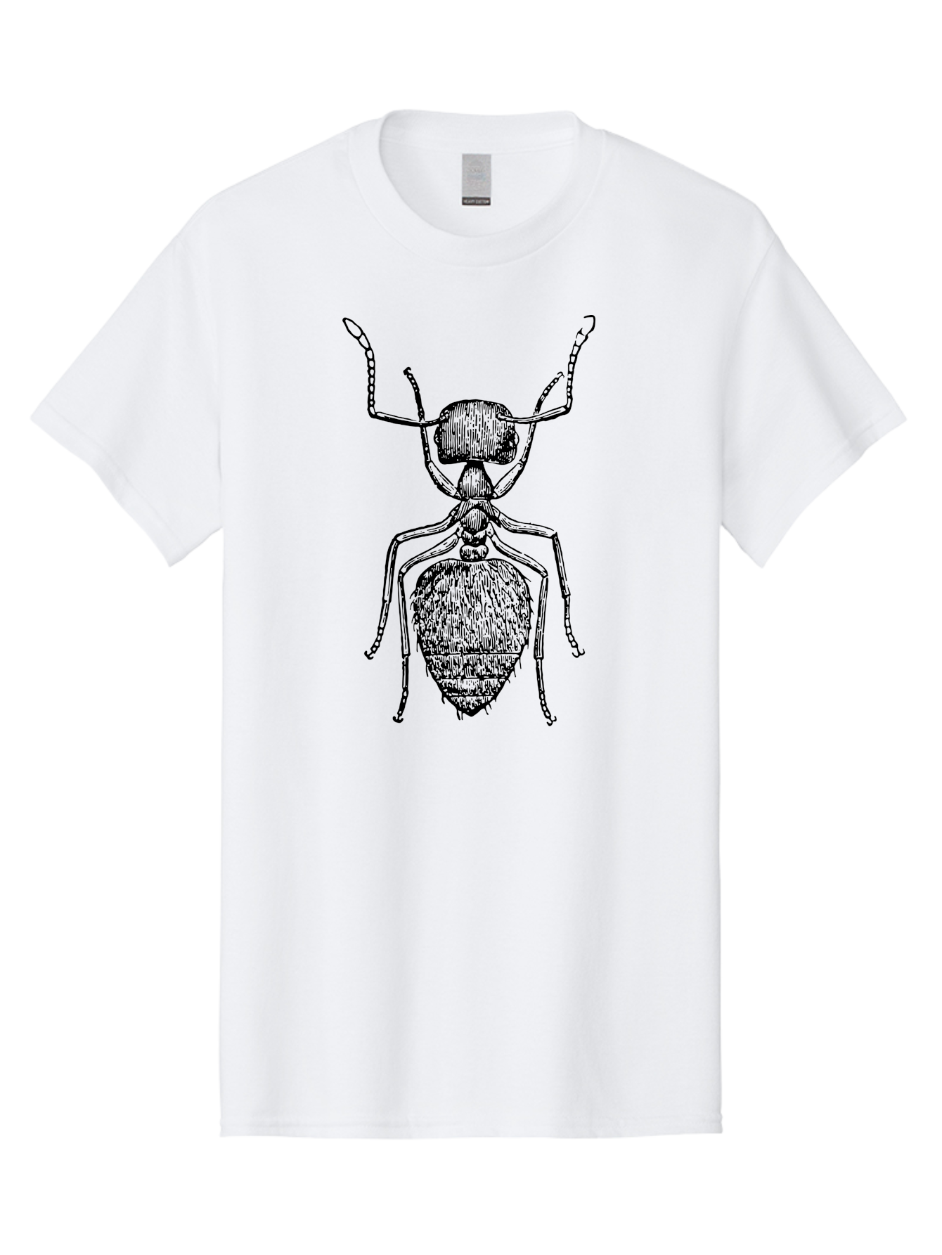 Ant-Illustration Men'S Graphic Tee, 100% Cotton, Comfortable Casual Summer Wear, Machine Washable, Black Ant, Insect Art, Detailed Drawing, Entomology, Bug Illustration, Insect Anatomy, Natural History Aab495 11