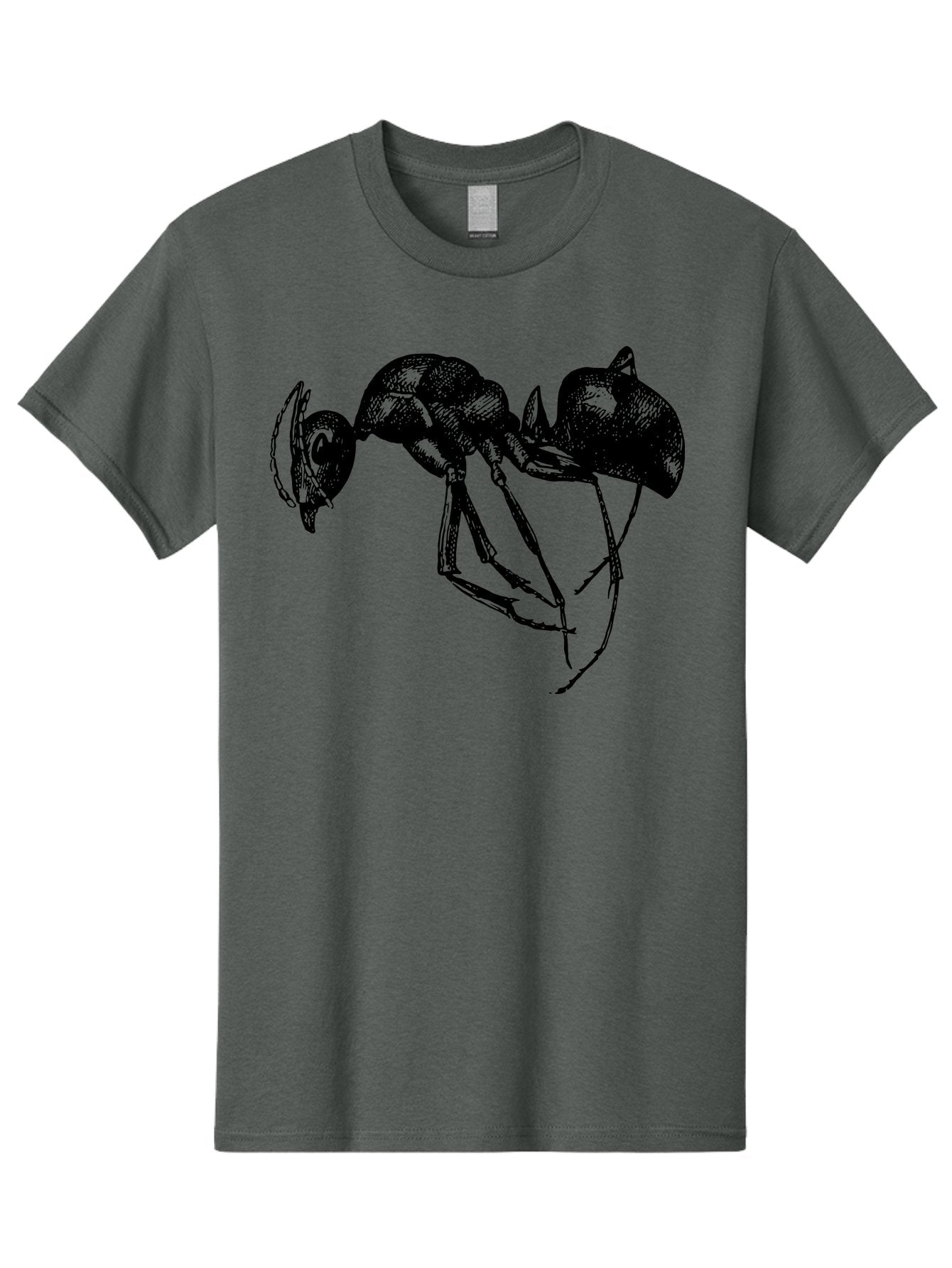 Ant Men'S Graphic Tee, 100% Cotton, Comfortable Casual Summer Wear, Machine Washable, Black Ant, Insect Illustration, Detailed Drawing, Sketch Art, Nature Graphic, Bug Design, Entomology, Wildlife Art Aab496 10