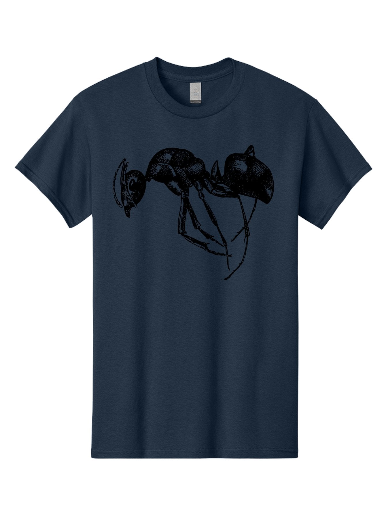 Ant Men'S Graphic Tee, 100% Cotton, Comfortable Casual Summer Wear, Machine Washable, Black Ant, Insect Illustration, Detailed Drawing, Sketch Art, Nature Graphic, Bug Design, Entomology, Wildlife Art Aab496 6