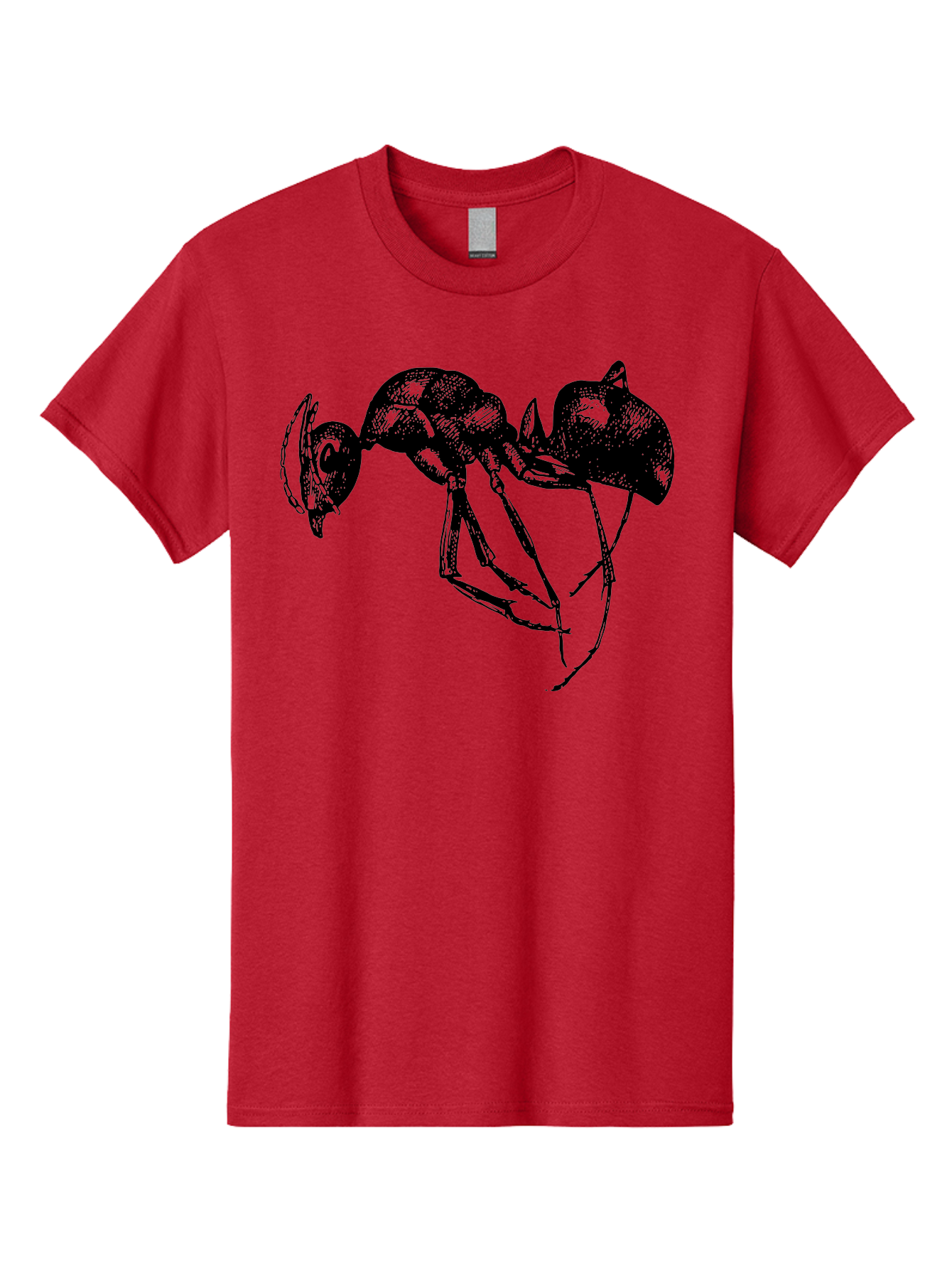 Ant Men'S Graphic Tee, 100% Cotton, Comfortable Casual Summer Wear, Machine Washable, Black Ant, Insect Illustration, Detailed Drawing, Sketch Art, Nature Graphic, Bug Design, Entomology, Wildlife Art Aab496 29