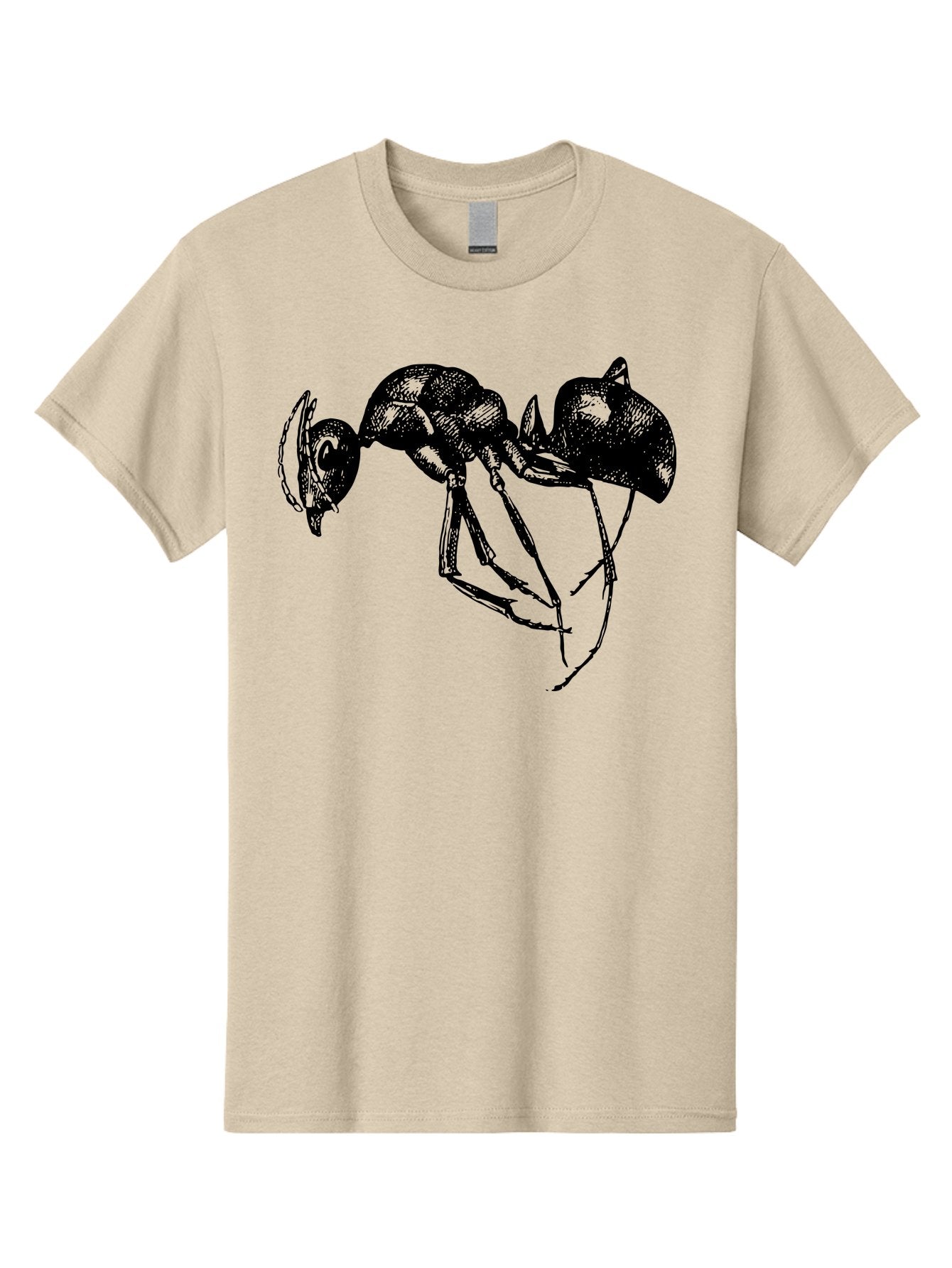 Ant Men'S Graphic Tee, 100% Cotton, Comfortable Casual Summer Wear, Machine Washable, Black Ant, Insect Illustration, Detailed Drawing, Sketch Art, Nature Graphic, Bug Design, Entomology, Wildlife Art Aab496 15