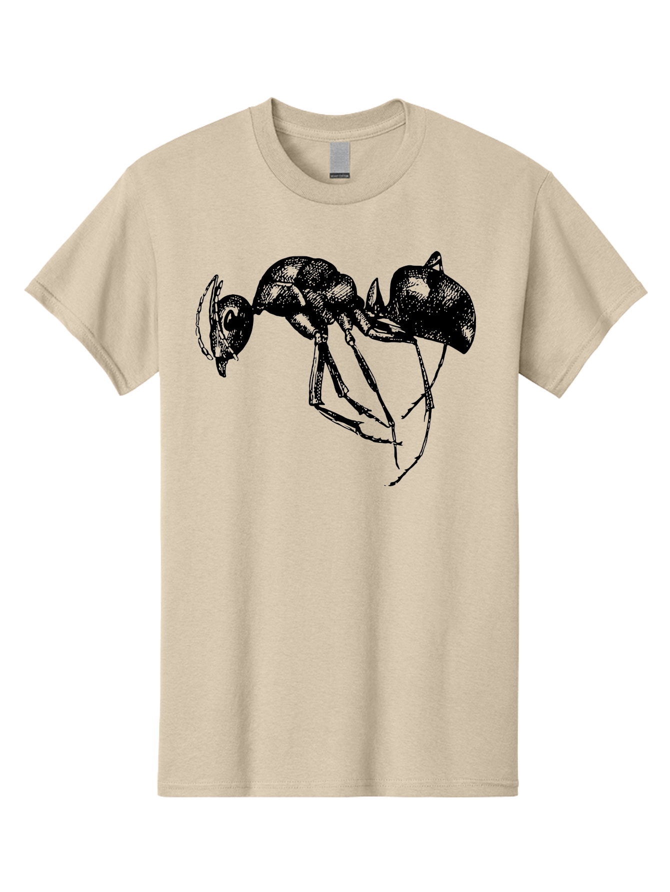 Ant Men'S Graphic Tee, 100% Cotton, Comfortable Casual Summer Wear, Machine Washable, Black Ant, Insect Illustration, Detailed Drawing, Sketch Art, Nature Graphic, Bug Design, Entomology, Wildlife Art Aab496