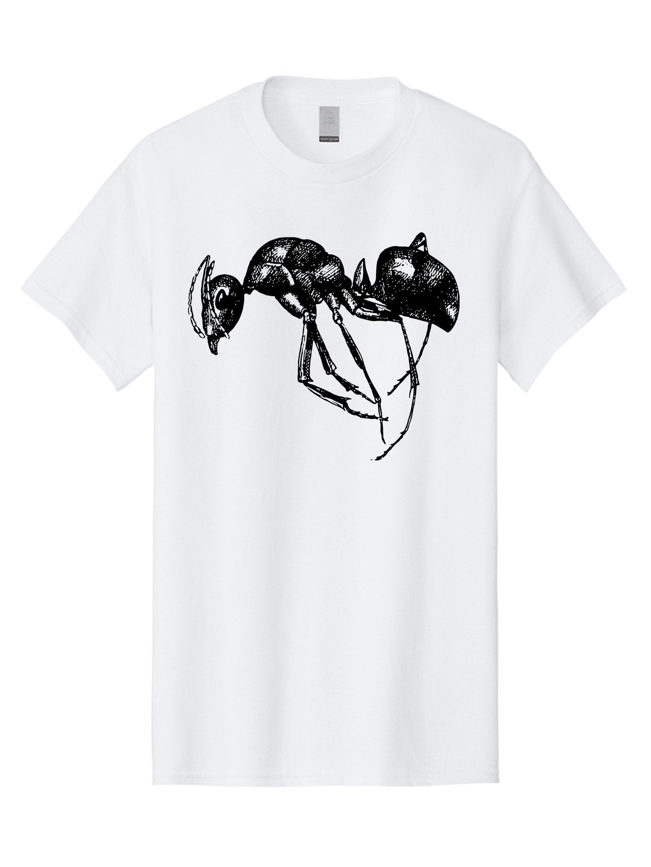 Ant Men'S Graphic Tee, 100% Cotton, Comfortable Casual Summer Wear, Machine Washable, Black Ant, Insect Illustration, Detailed Drawing, Sketch Art, Nature Graphic, Bug Design, Entomology, Wildlife Art Aab496 11