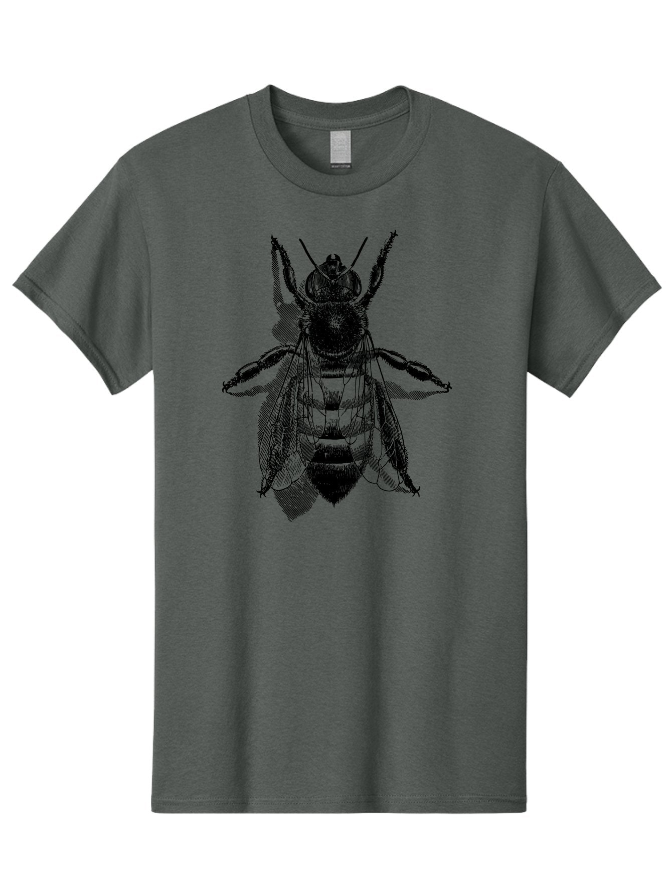 Bee-1 Men'S Graphic Tee, 100% Cotton, Comfortable Casual Summer Wear, Machine Washable, Honey Bee, Insect Anatomy, Detailed Illustration, Black And Green, Bee Species, Entomology Art, Wildlife Graphics, Nature Illustration, Detailed Drawing Aab498 8