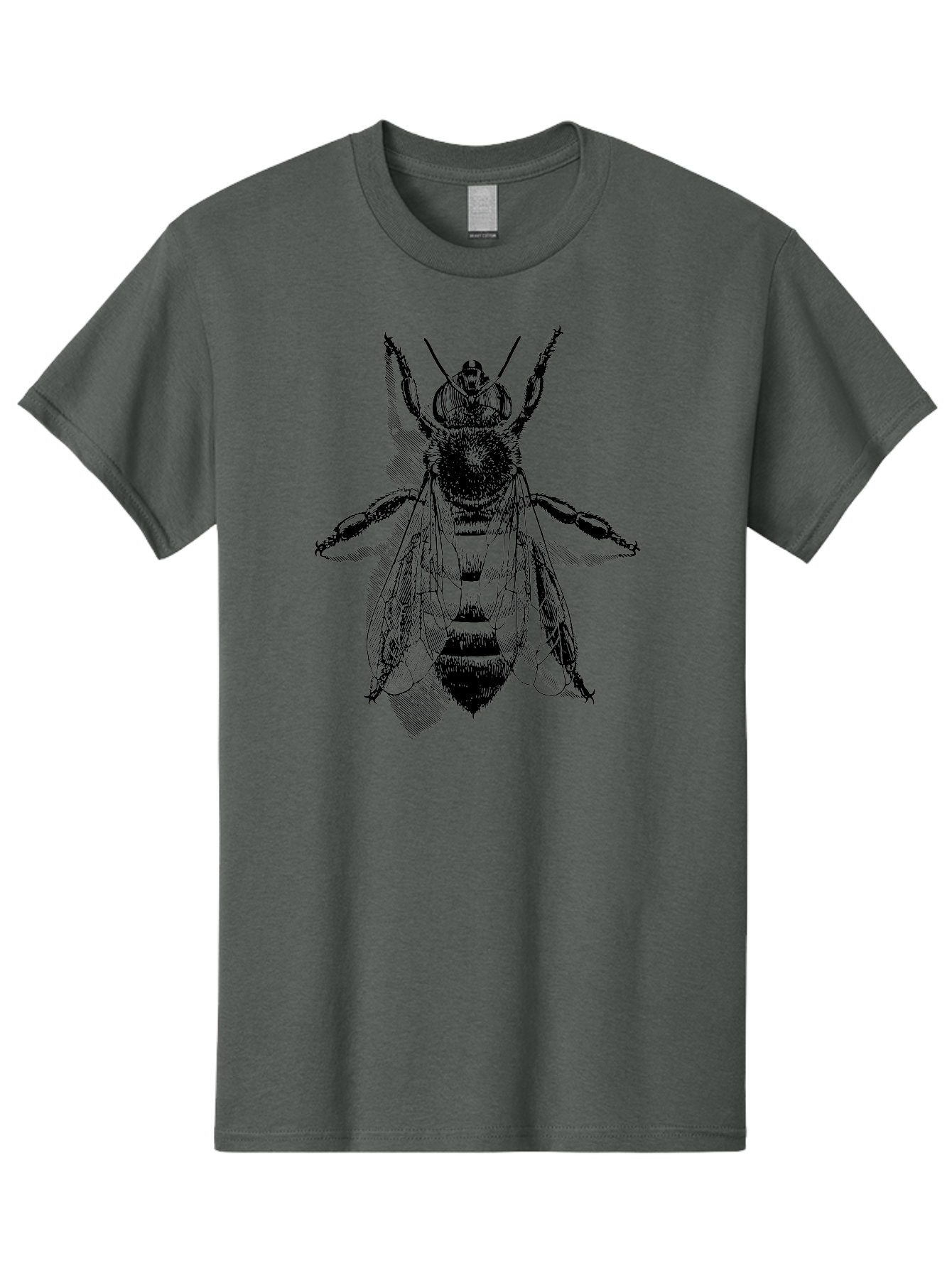 Bee-1 Men'S Graphic Tee, 100% Cotton, Comfortable Casual Summer Wear, Machine Washable, Honey Bee, Insect Anatomy, Detailed Illustration, Black And Green, Bee Species, Entomology Art, Wildlife Graphics, Nature Illustration, Detailed Drawing Aab498 3
