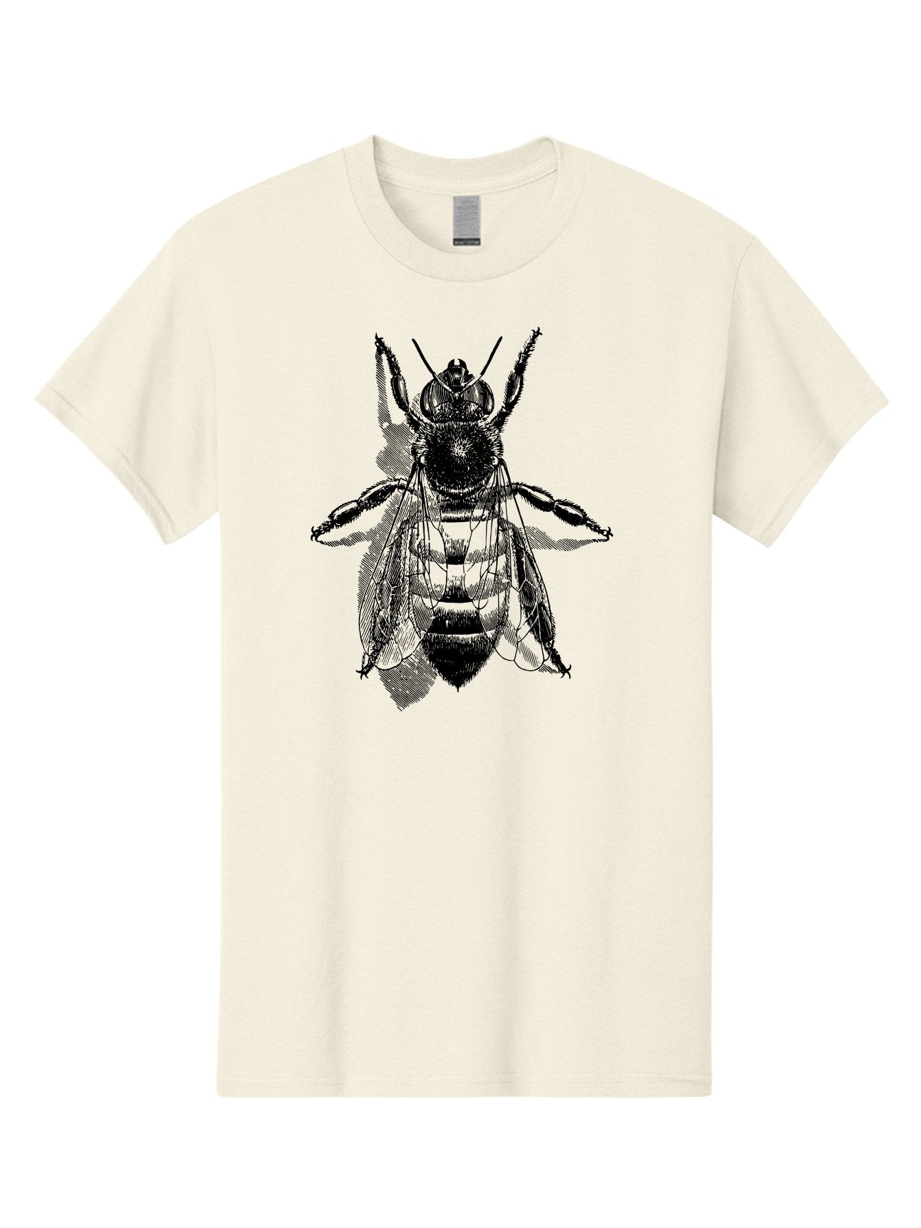 Bee-1 Men'S Graphic Tee, 100% Cotton, Comfortable Casual Summer Wear, Machine Washable, Honey Bee, Insect Anatomy, Detailed Illustration, Black And Green, Bee Species, Entomology Art, Wildlife Graphics, Nature Illustration, Detailed Drawing Aab498 11
