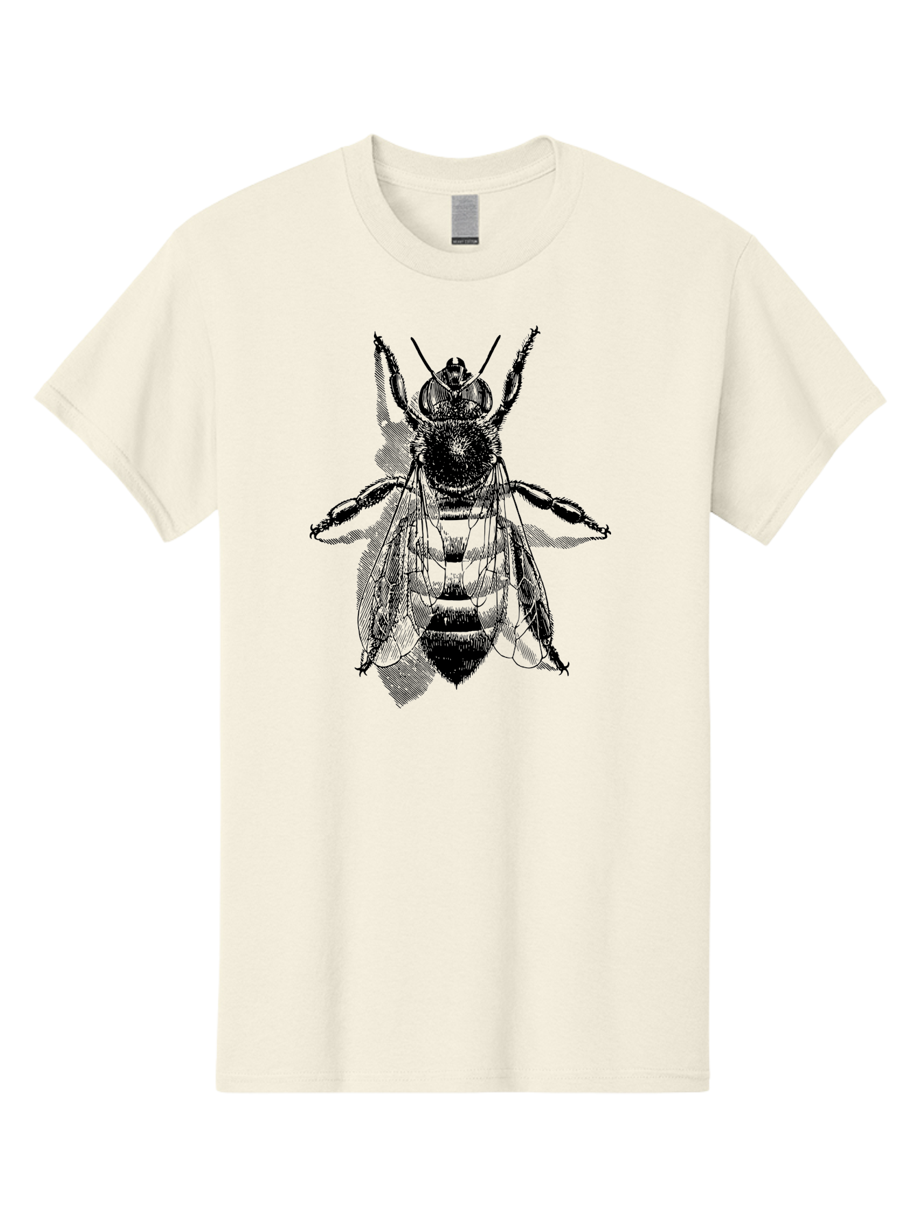 Bee-1 Men'S Graphic Tee, 100% Cotton, Comfortable Casual Summer Wear, Machine Washable, Honey Bee, Insect Anatomy, Detailed Illustration, Black And Green, Bee Species, Entomology Art, Wildlife Graphics, Nature Illustration, Detailed Drawing Aab498 17