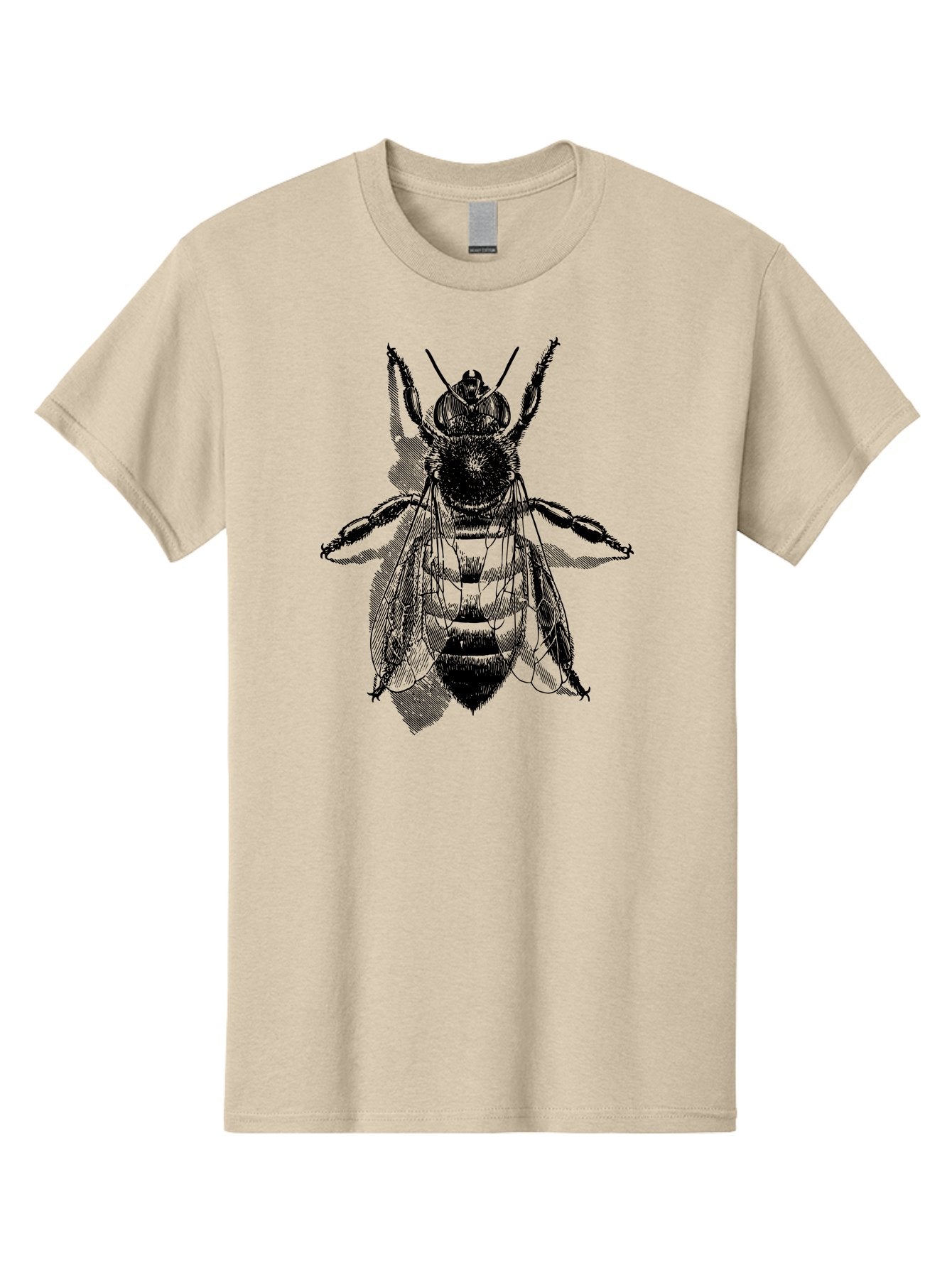 Bee-1 Men'S Graphic Tee, 100% Cotton, Comfortable Casual Summer Wear, Machine Washable, Honey Bee, Insect Anatomy, Detailed Illustration, Black And Green, Bee Species, Entomology Art, Wildlife Graphics, Nature Illustration, Detailed Drawing Aab498 5