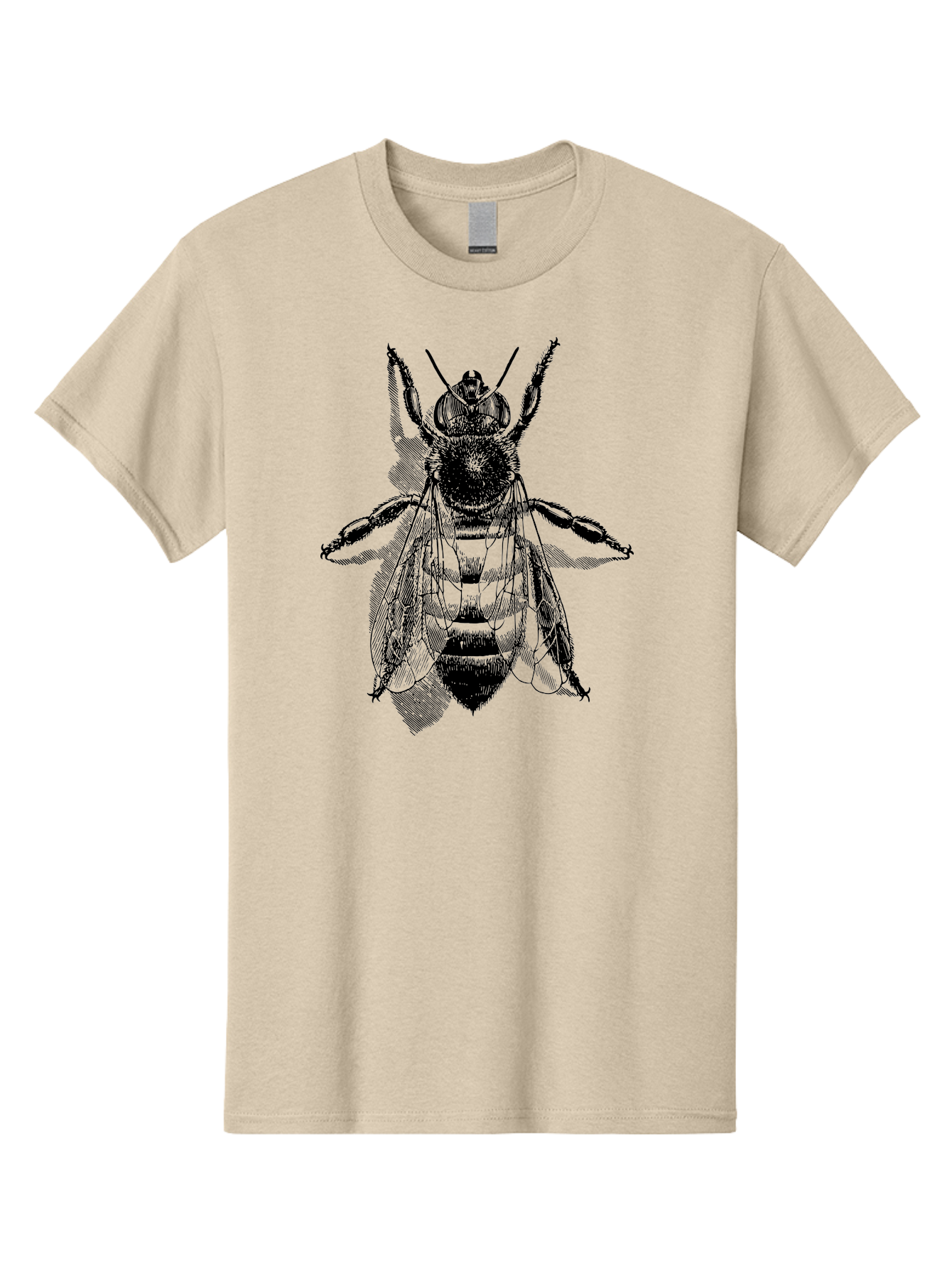 Bee-1 Men'S Graphic Tee, 100% Cotton, Comfortable Casual Summer Wear, Machine Washable, Honey Bee, Insect Anatomy, Detailed Illustration, Black And Green, Bee Species, Entomology Art, Wildlife Graphics, Nature Illustration, Detailed Drawing Aab498 27