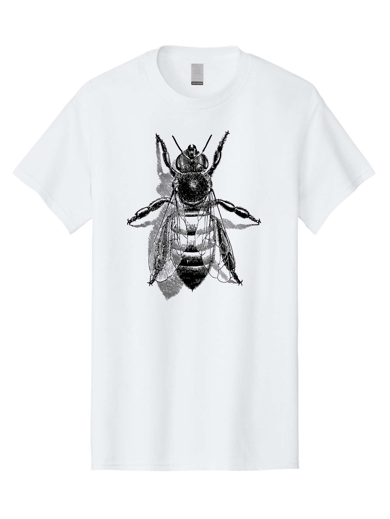 Bee-1 Men'S Graphic Tee, 100% Cotton, Comfortable Casual Summer Wear, Machine Washable, Honey Bee, Insect Anatomy, Detailed Illustration, Black And Green, Bee Species, Entomology Art, Wildlife Graphics, Nature Illustration, Detailed Drawing Aab498 29