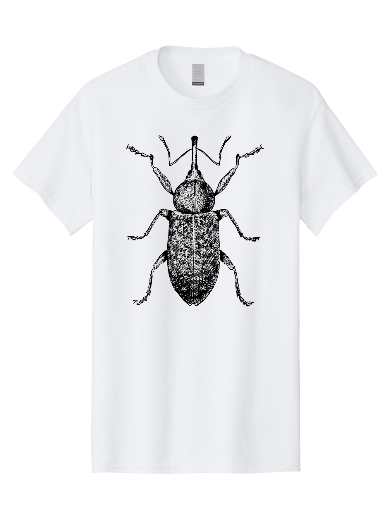 Beetle-2 Men'S Graphic Tee, 100% Cotton, Comfortable Casual Summer Wear, Machine Washable, Boll Weevil, Insect Illustration, Detailed Artwork, Weevil Species, Agricultural Pest, Entomology Art, Black And Green Illustration, Intricate Design Aab505 23