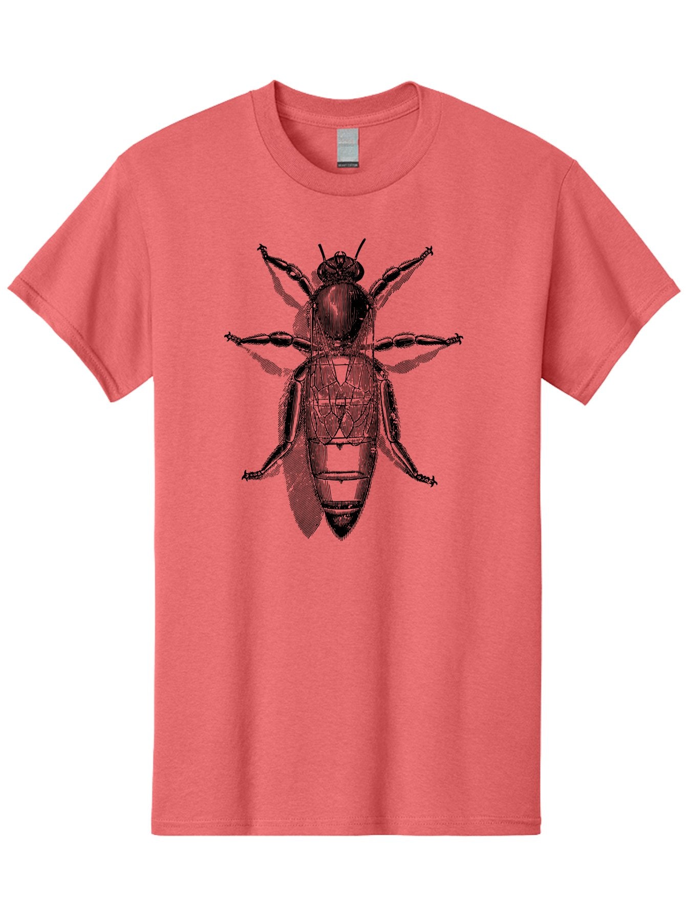 Beetle-Diagram Men'S Graphic Tee, 100% Cotton, Comfortable Casual Summer Wear, Machine Washable, Beetle Diagram, Insect Anatomy, Entomology Illustration, Technical Drawing, Bugs, Insects, Detailed Design, Scientific Artwork, Bug Structure Aab506 8