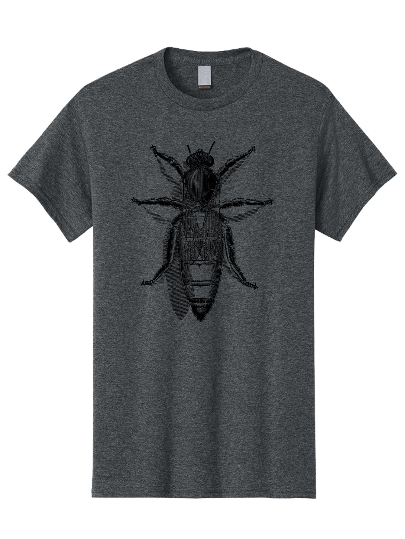 Beetle-Diagram Men'S Graphic Tee, 100% Cotton, Comfortable Casual Summer Wear, Machine Washable, Beetle Diagram, Insect Anatomy, Entomology Illustration, Technical Drawing, Bugs, Insects, Detailed Design, Scientific Artwork, Bug Structure Aab506 14
