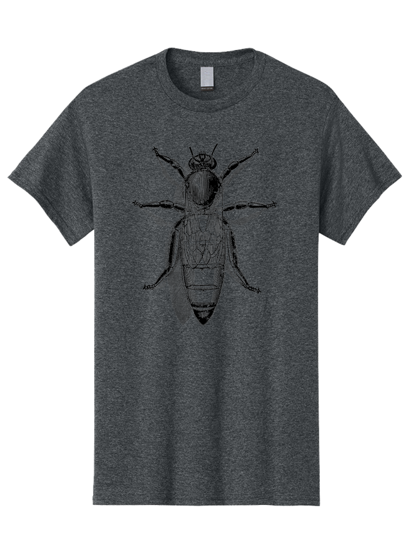 Beetle-Diagram Men'S Graphic Tee, 100% Cotton, Comfortable Casual Summer Wear, Machine Washable, Beetle Diagram, Insect Anatomy, Entomology Illustration, Technical Drawing, Bugs, Insects, Detailed Design, Scientific Artwork, Bug Structure Aab506 7