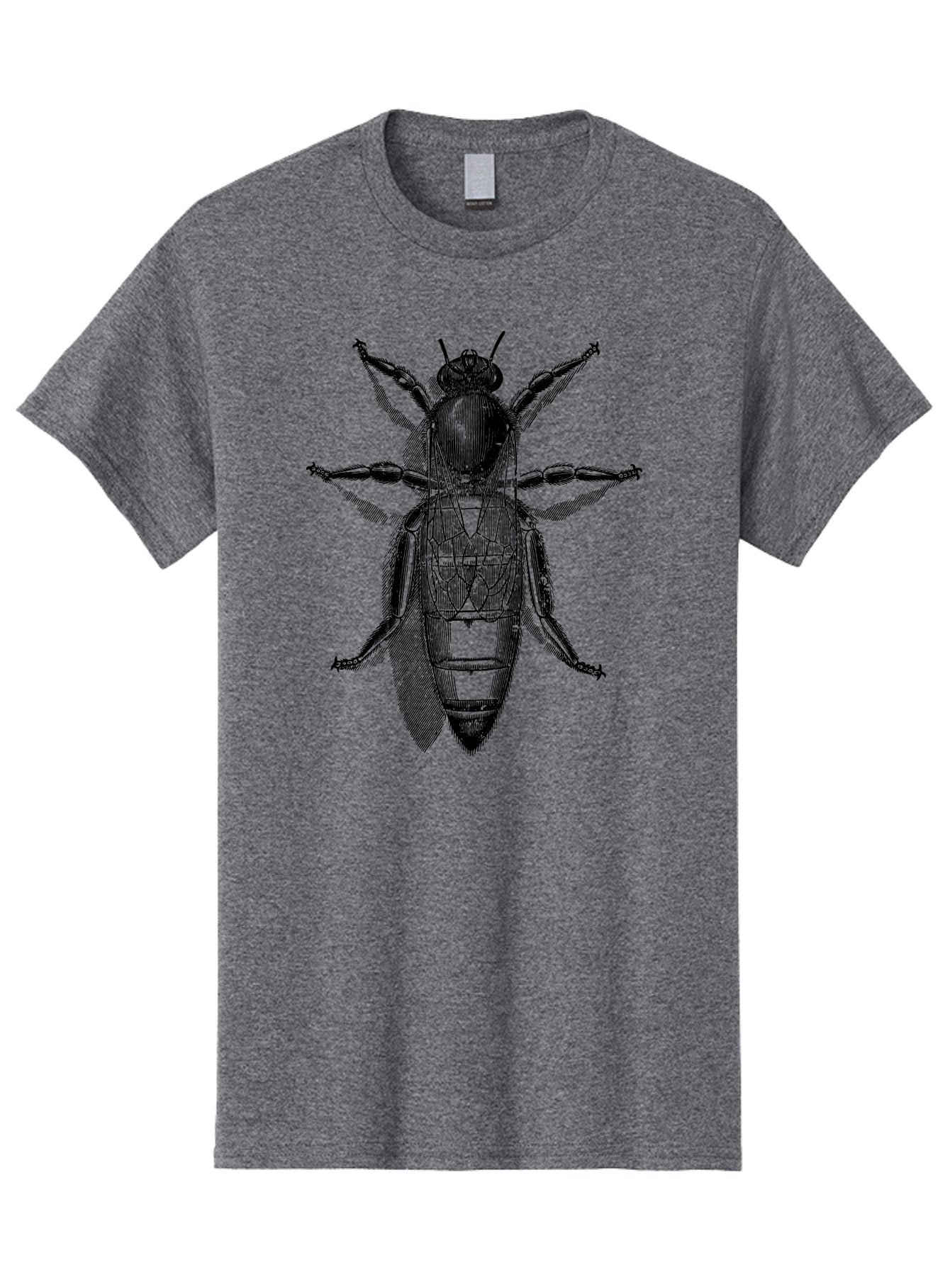 Beetle-Diagram Men'S Graphic Tee, 100% Cotton, Comfortable Casual Summer Wear, Machine Washable, Beetle Diagram, Insect Anatomy, Entomology Illustration, Technical Drawing, Bugs, Insects, Detailed Design, Scientific Artwork, Bug Structure Aab506