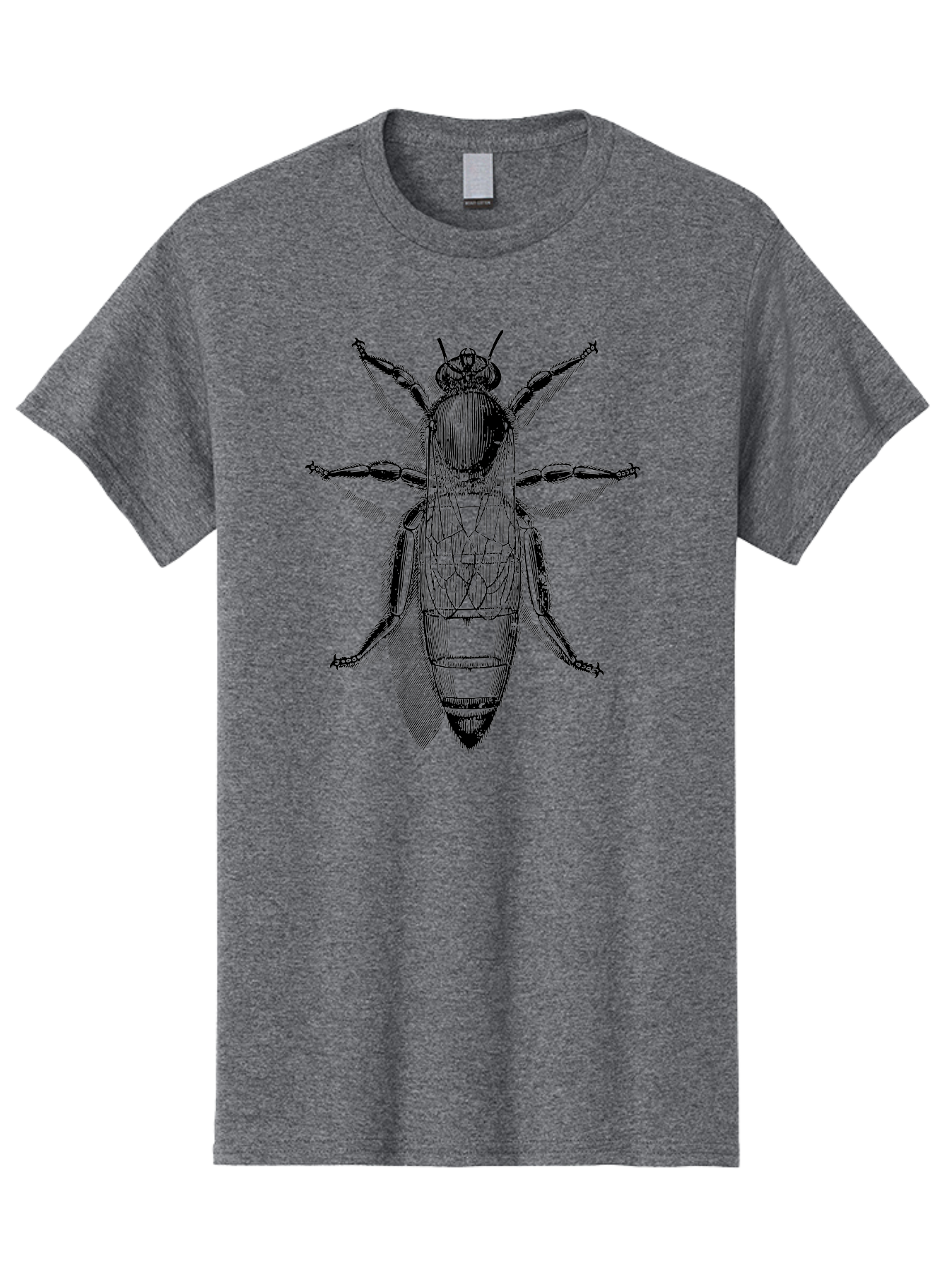 Beetle-Diagram Men'S Graphic Tee, 100% Cotton, Comfortable Casual Summer Wear, Machine Washable, Beetle Diagram, Insect Anatomy, Entomology Illustration, Technical Drawing, Bugs, Insects, Detailed Design, Scientific Artwork, Bug Structure Aab506 9