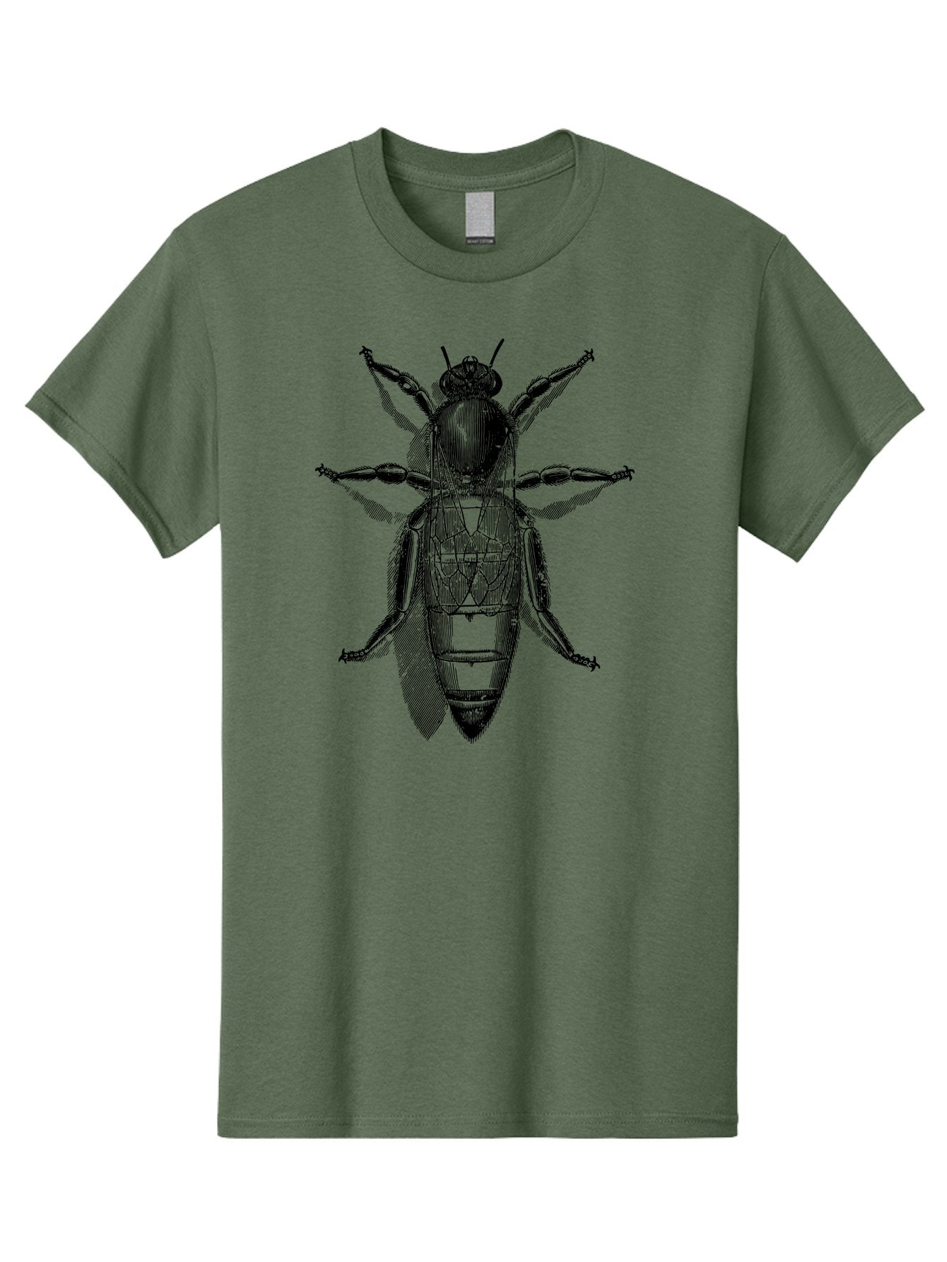 Beetle-Diagram Men'S Graphic Tee, 100% Cotton, Comfortable Casual Summer Wear, Machine Washable, Beetle Diagram, Insect Anatomy, Entomology Illustration, Technical Drawing, Bugs, Insects, Detailed Design, Scientific Artwork, Bug Structure Aab506 9