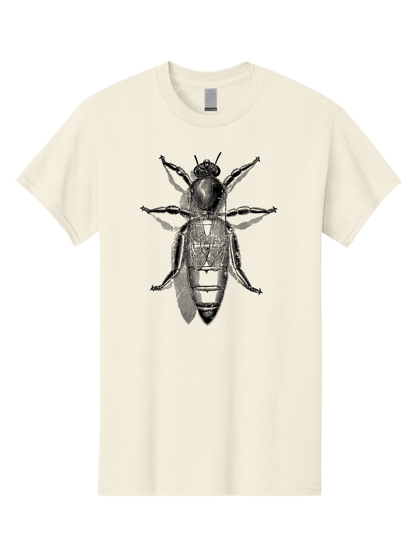 Beetle-Diagram Men'S Graphic Tee, 100% Cotton, Comfortable Casual Summer Wear, Machine Washable, Beetle Diagram, Insect Anatomy, Entomology Illustration, Technical Drawing, Bugs, Insects, Detailed Design, Scientific Artwork, Bug Structure Aab506 4