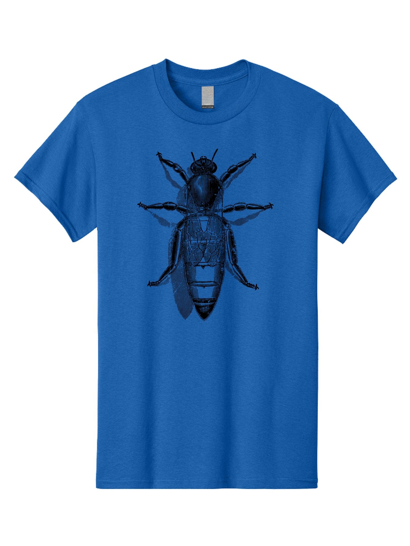 Beetle-Diagram Men'S Graphic Tee, 100% Cotton, Comfortable Casual Summer Wear, Machine Washable, Beetle Diagram, Insect Anatomy, Entomology Illustration, Technical Drawing, Bugs, Insects, Detailed Design, Scientific Artwork, Bug Structure Aab506 11
