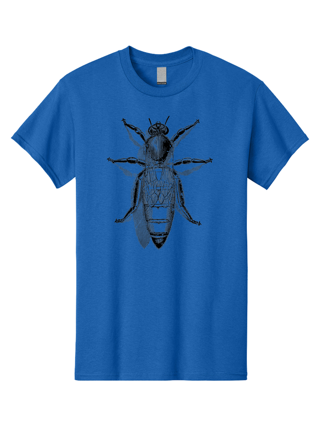 Beetle-Diagram Men'S Graphic Tee, 100% Cotton, Comfortable Casual Summer Wear, Machine Washable, Beetle Diagram, Insect Anatomy, Entomology Illustration, Technical Drawing, Bugs, Insects, Detailed Design, Scientific Artwork, Bug Structure Aab506 25