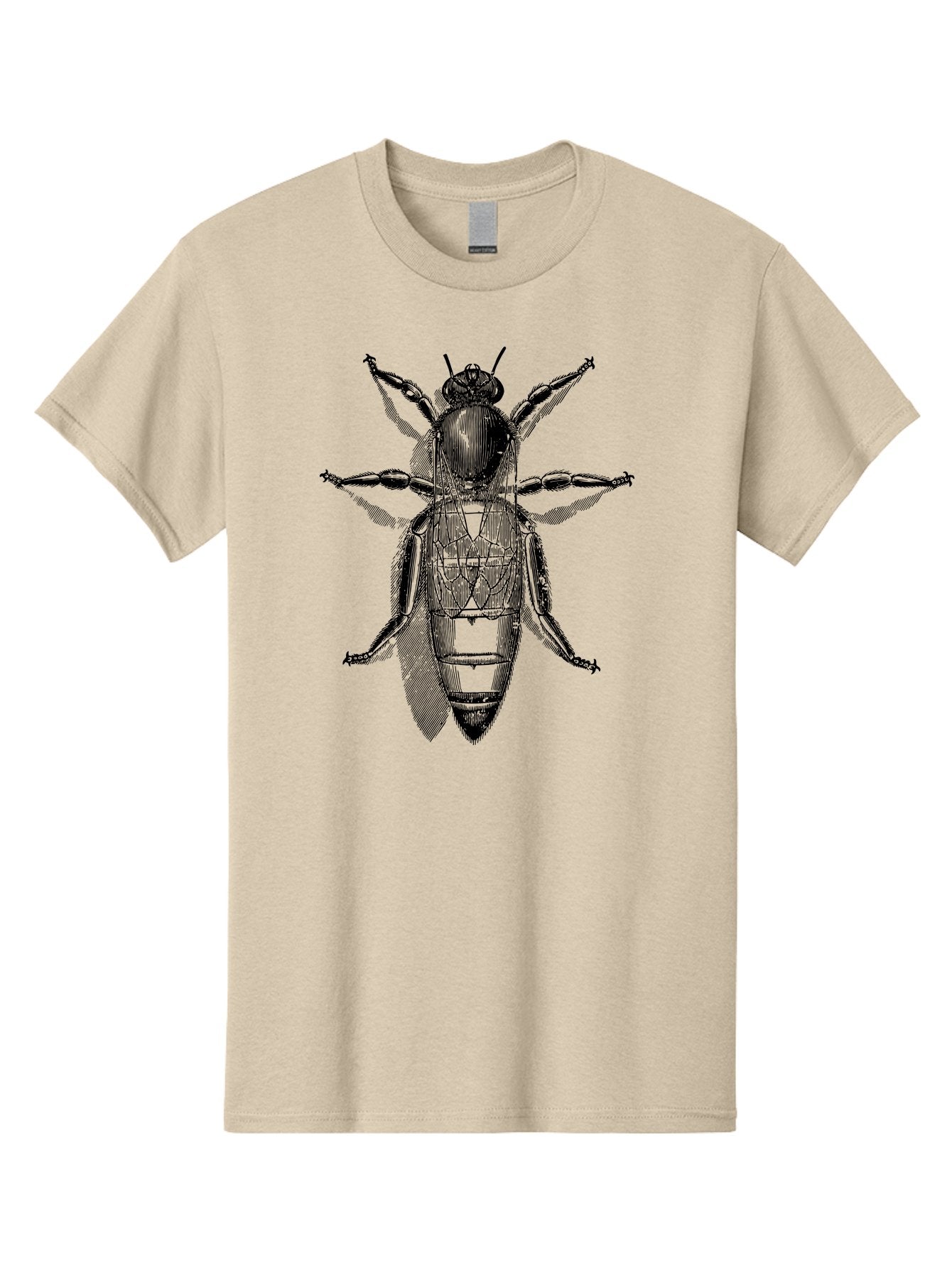 Beetle-Diagram Men'S Graphic Tee, 100% Cotton, Comfortable Casual Summer Wear, Machine Washable, Beetle Diagram, Insect Anatomy, Entomology Illustration, Technical Drawing, Bugs, Insects, Detailed Design, Scientific Artwork, Bug Structure Aab506 7