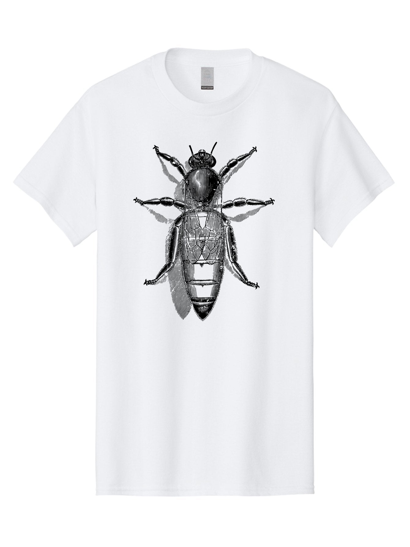 Beetle-Diagram Men'S Graphic Tee, 100% Cotton, Comfortable Casual Summer Wear, Machine Washable, Beetle Diagram, Insect Anatomy, Entomology Illustration, Technical Drawing, Bugs, Insects, Detailed Design, Scientific Artwork, Bug Structure Aab506 3