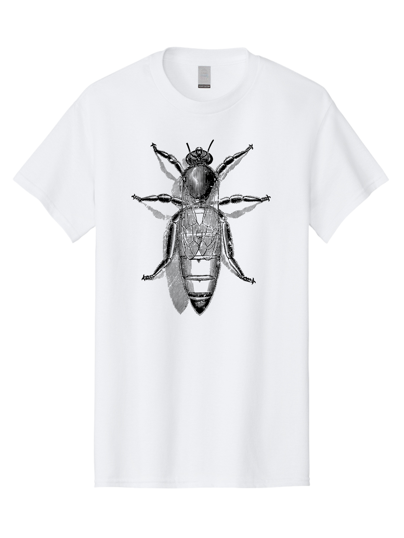 Beetle-Diagram Men'S Graphic Tee, 100% Cotton, Comfortable Casual Summer Wear, Machine Washable, Beetle Diagram, Insect Anatomy, Entomology Illustration, Technical Drawing, Bugs, Insects, Detailed Design, Scientific Artwork, Bug Structure Aab506 29