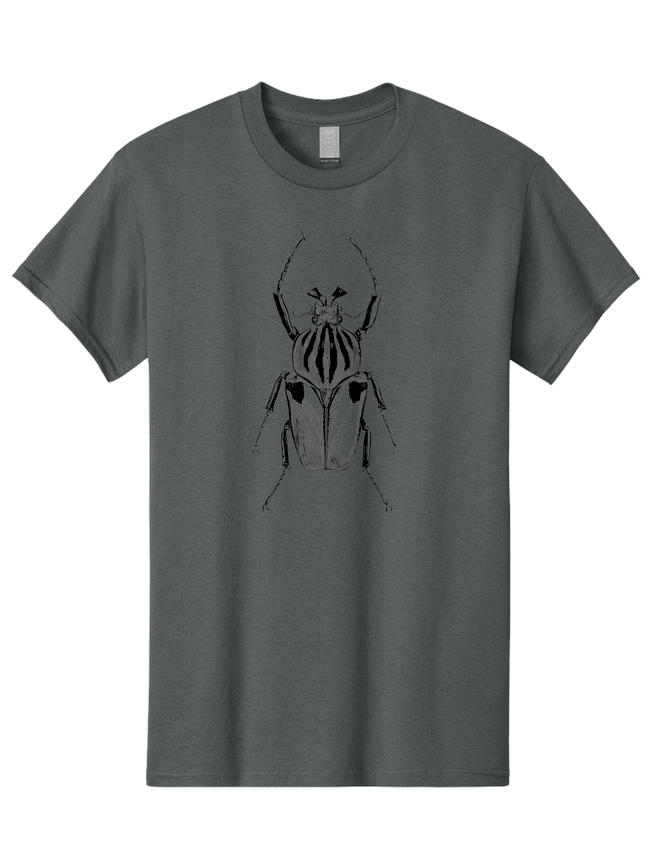 Beetle-Illustration-1 Men'S Graphic Tee, 100% Cotton, Comfortable Casual Summer Wear, Machine Washable, Beetle Illustration, Insect Art, Entomology, Striped Beetle, Black And Green, Detailed Drawing, Wildlife Illustration, Bug Graphics Aab507 3