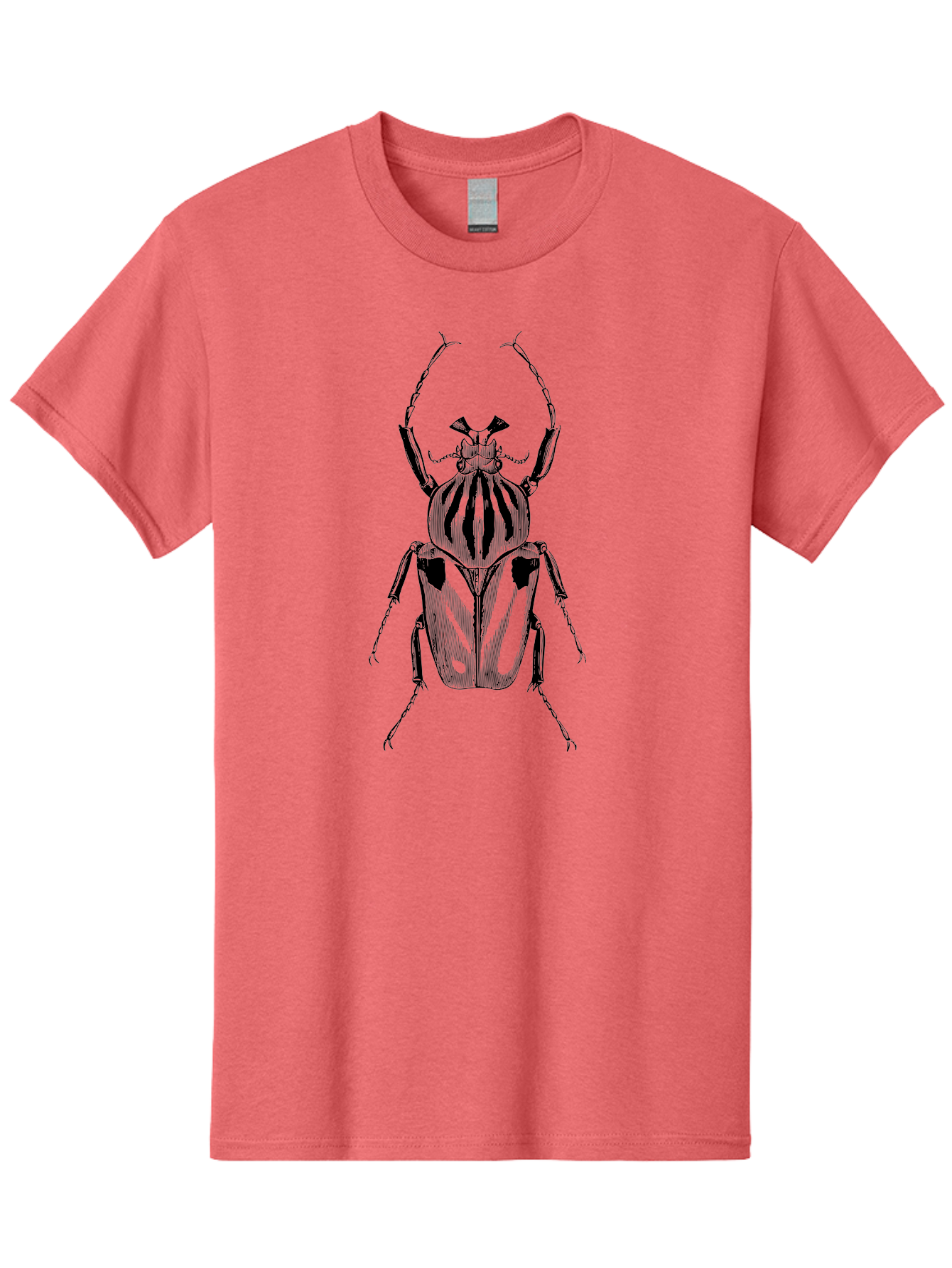 Beetle-Illustration-1 Men'S Graphic Tee, 100% Cotton, Comfortable Casual Summer Wear, Machine Washable, Beetle Illustration, Insect Art, Entomology, Striped Beetle, Black And Green, Detailed Drawing, Wildlife Illustration, Bug Graphics Aab507 5