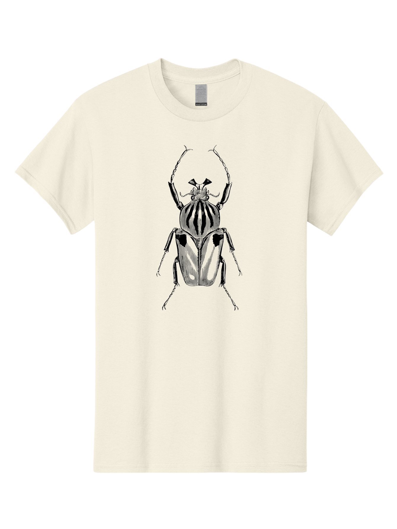 Beetle-Illustration-1 Men'S Graphic Tee, 100% Cotton, Comfortable Casual Summer Wear, Machine Washable, Beetle Illustration, Insect Art, Entomology, Striped Beetle, Black And Green, Detailed Drawing, Wildlife Illustration, Bug Graphics Aab507 17