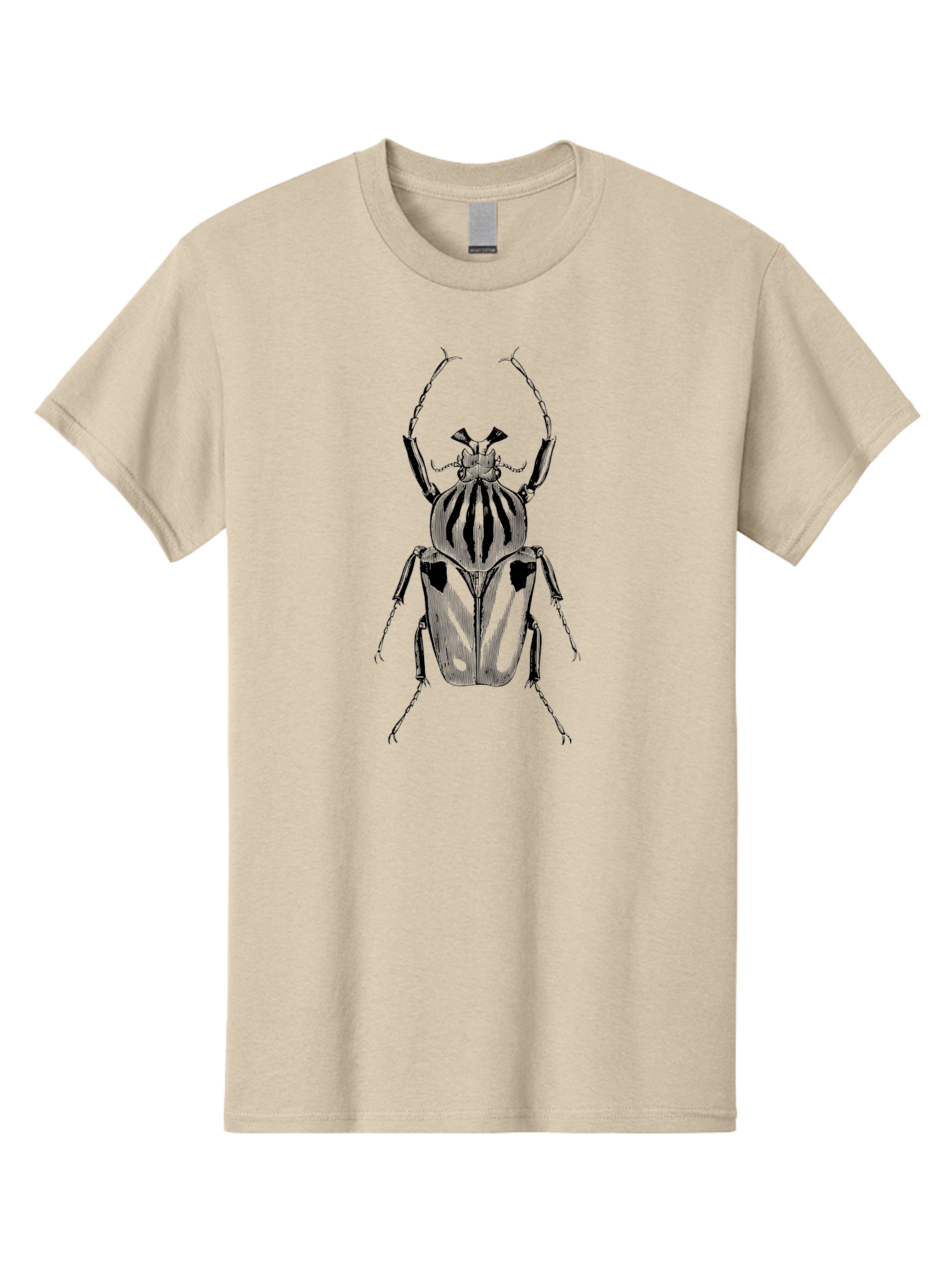 Beetle-Illustration-1 Men'S Graphic Tee, 100% Cotton, Comfortable Casual Summer Wear, Machine Washable, Beetle Illustration, Insect Art, Entomology, Striped Beetle, Black And Green, Detailed Drawing, Wildlife Illustration, Bug Graphics Aab507 27