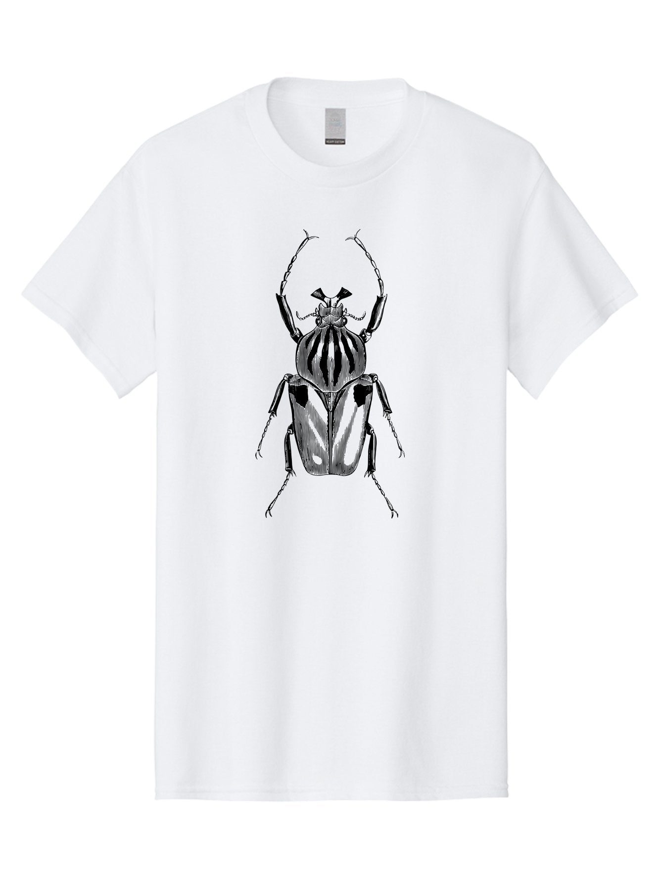 Beetle-Illustration-1 Men'S Graphic Tee, 100% Cotton, Comfortable Casual Summer Wear, Machine Washable, Beetle Illustration, Insect Art, Entomology, Striped Beetle, Black And Green, Detailed Drawing, Wildlife Illustration, Bug Graphics Aab507 13