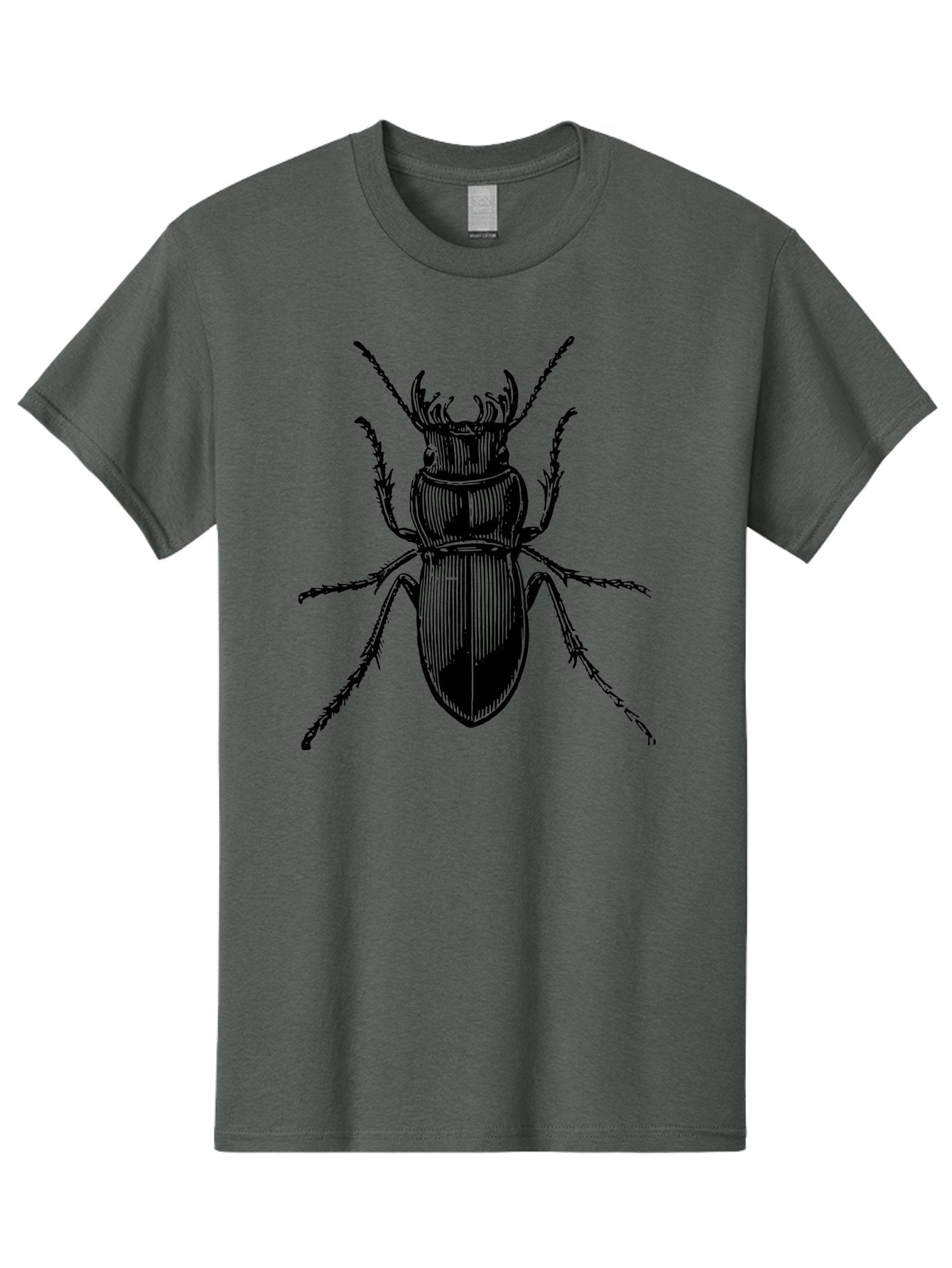 Beetle-Illustration-2 Men'S Graphic Tee, 100% Cotton, Comfortable Casual Summer Wear, Machine Washable, Beetle Illustration, Black Insect, Detailed Drawing, Entomology Art, Insect Anatomy, Wildlife Graphic, Bug Design, Ornate Beetle Aab508 5