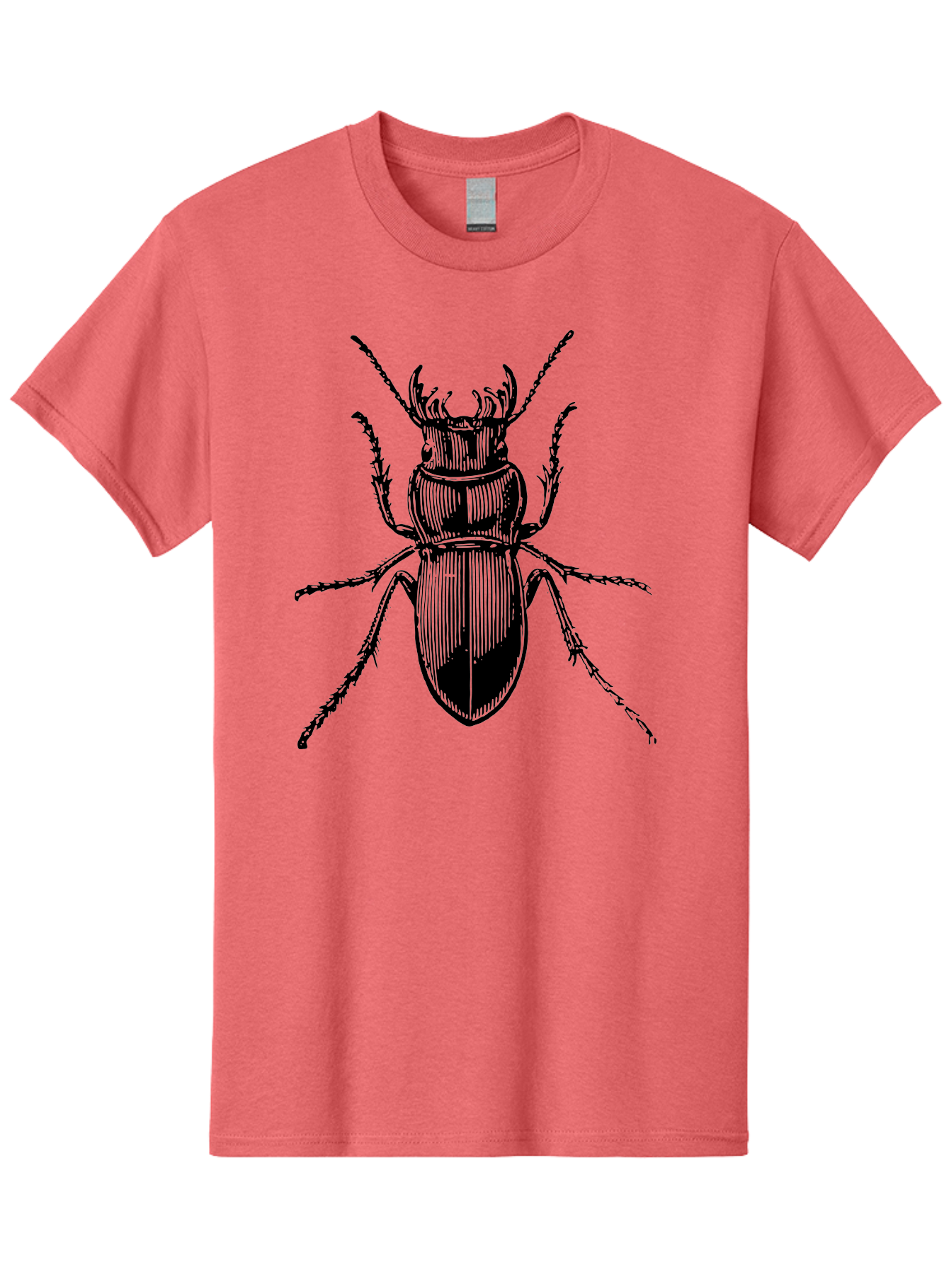 Beetle-Illustration-2 Men'S Graphic Tee, 100% Cotton, Comfortable Casual Summer Wear, Machine Washable, Beetle Illustration, Black Insect, Detailed Drawing, Entomology Art, Insect Anatomy, Wildlife Graphic, Bug Design, Ornate Beetle Aab508 5