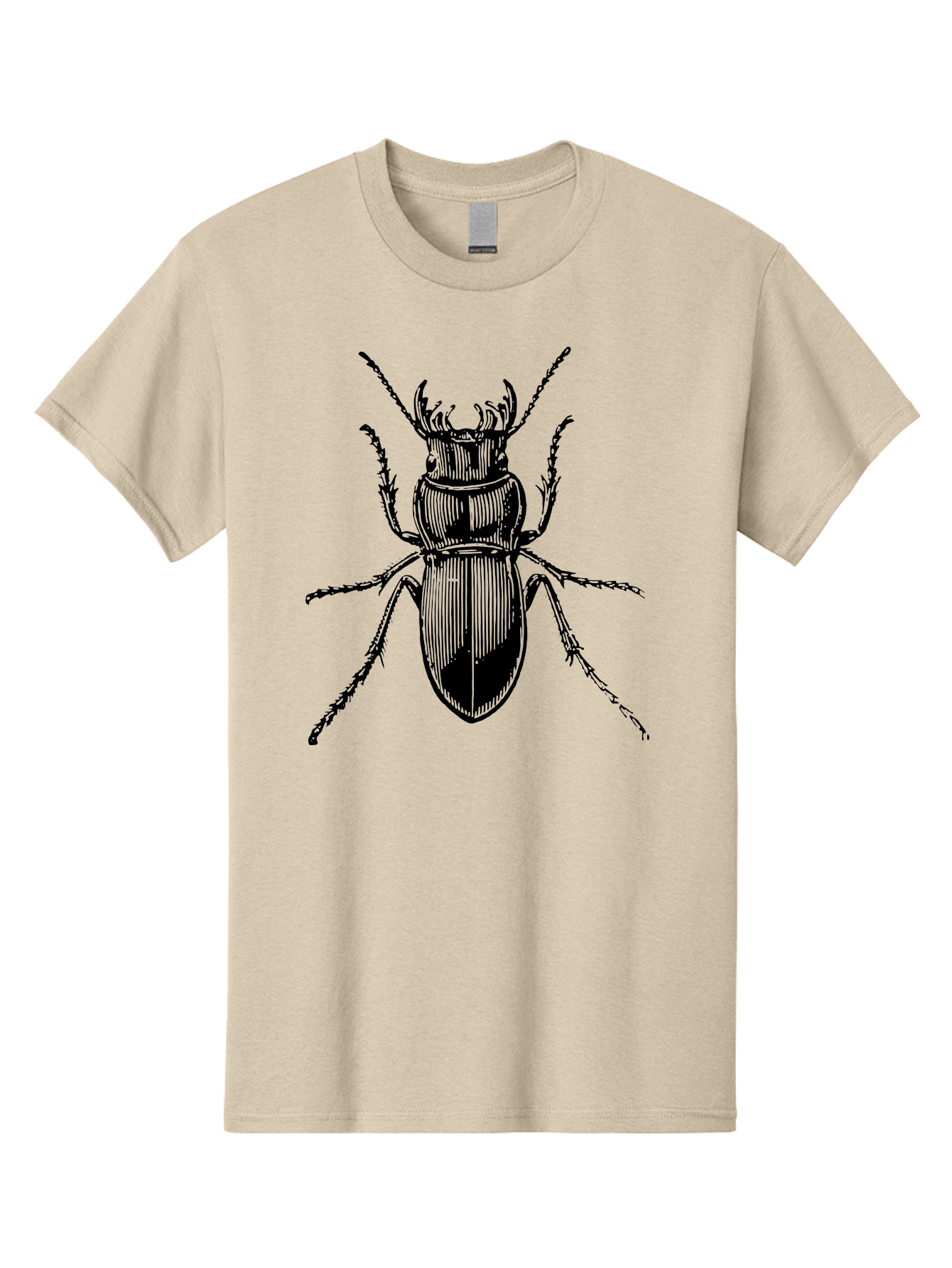 Beetle-Illustration-2 Men'S Graphic Tee, 100% Cotton, Comfortable Casual Summer Wear, Machine Washable, Beetle Illustration, Black Insect, Detailed Drawing, Entomology Art, Insect Anatomy, Wildlife Graphic, Bug Design, Ornate Beetle Aab508 27