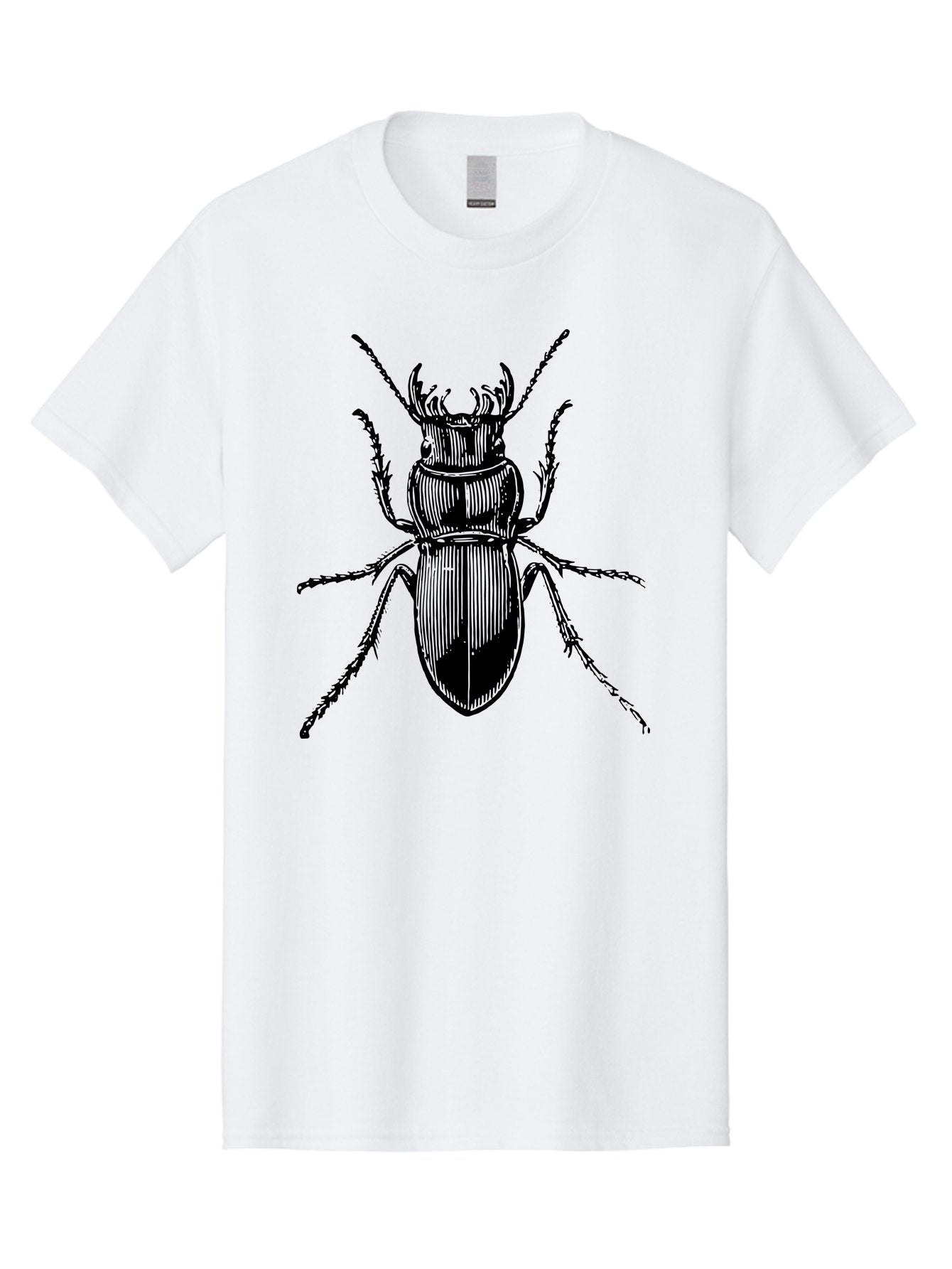 Beetle-Illustration-2 Men'S Graphic Tee, 100% Cotton, Comfortable Casual Summer Wear, Machine Washable, Beetle Illustration, Black Insect, Detailed Drawing, Entomology Art, Insect Anatomy, Wildlife Graphic, Bug Design, Ornate Beetle Aab508 10