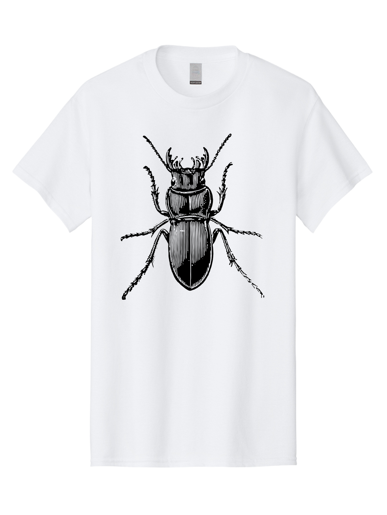 Beetle-Illustration-2 Men'S Graphic Tee, 100% Cotton, Comfortable Casual Summer Wear, Machine Washable, Beetle Illustration, Black Insect, Detailed Drawing, Entomology Art, Insect Anatomy, Wildlife Graphic, Bug Design, Ornate Beetle Aab508 29