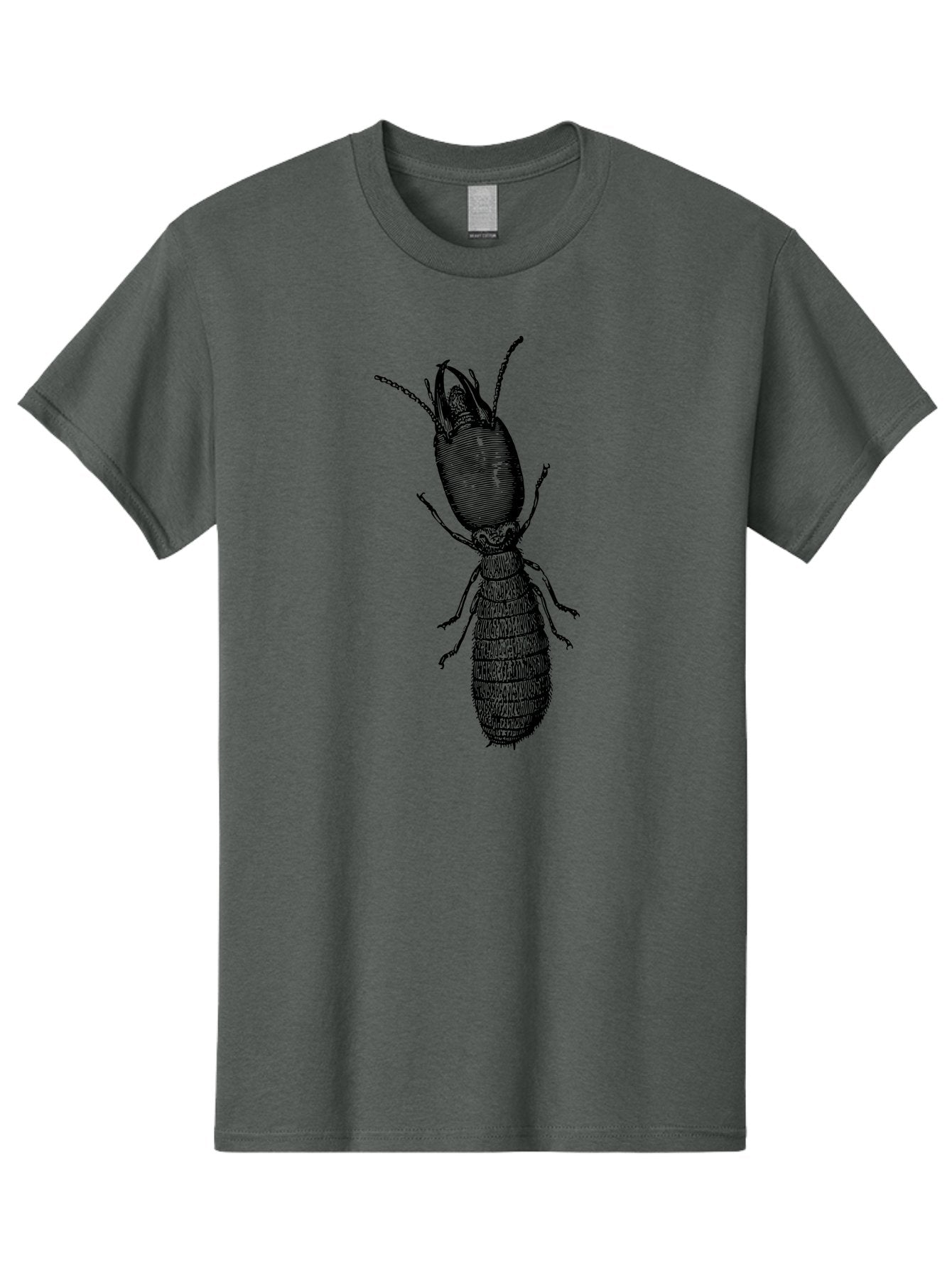 Beetle-Illustration Men'S Graphic Tee, 100% Cotton, Comfortable Casual Summer Wear, Machine Washable, Insect Anatomy, Entomology Illustration, Beetle Species, Detailed Drawing, Scientific Artwork, Insect Morphology, Nature Study Aab509 9